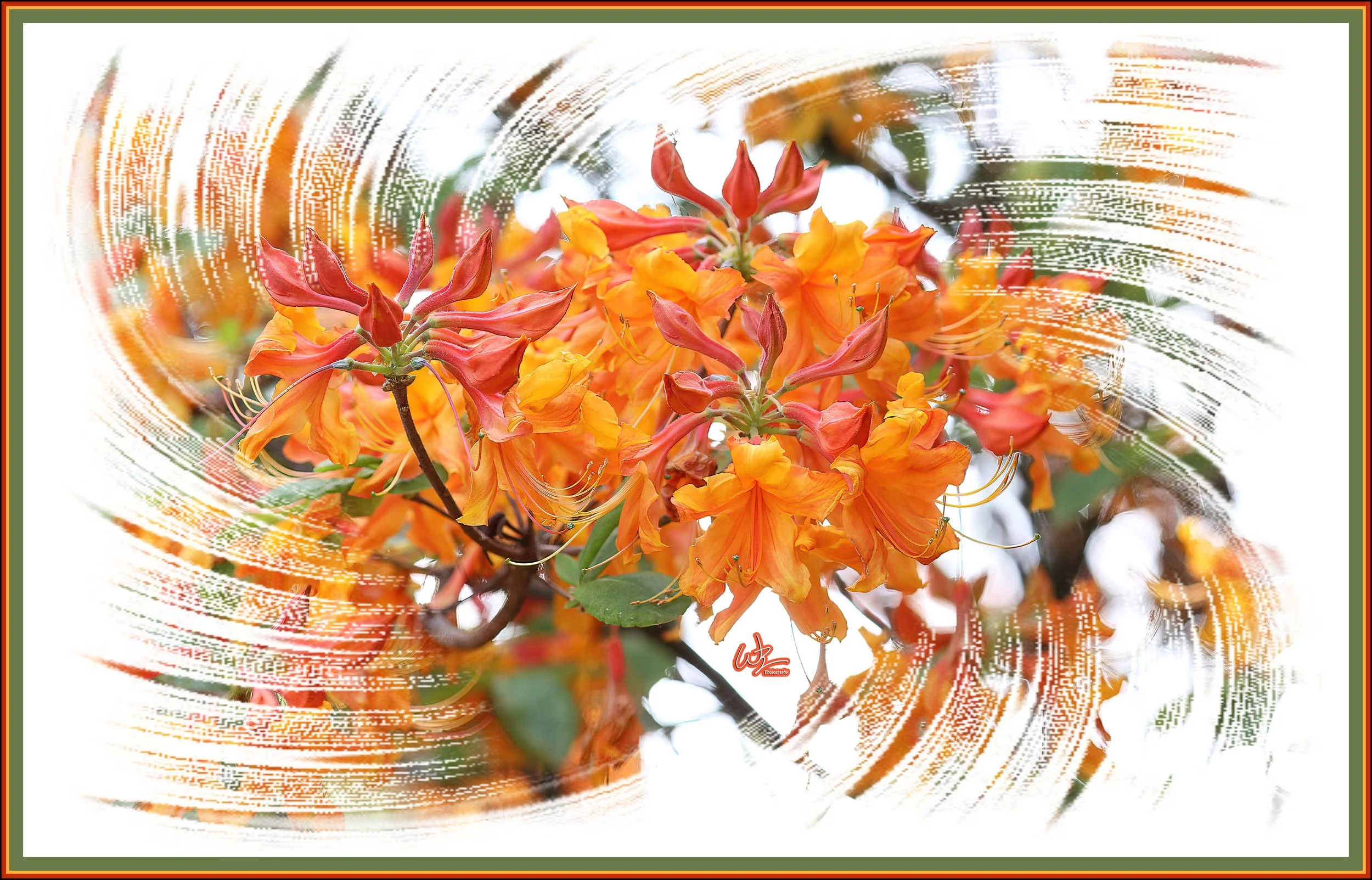 I01A3631_pe copy.jpg