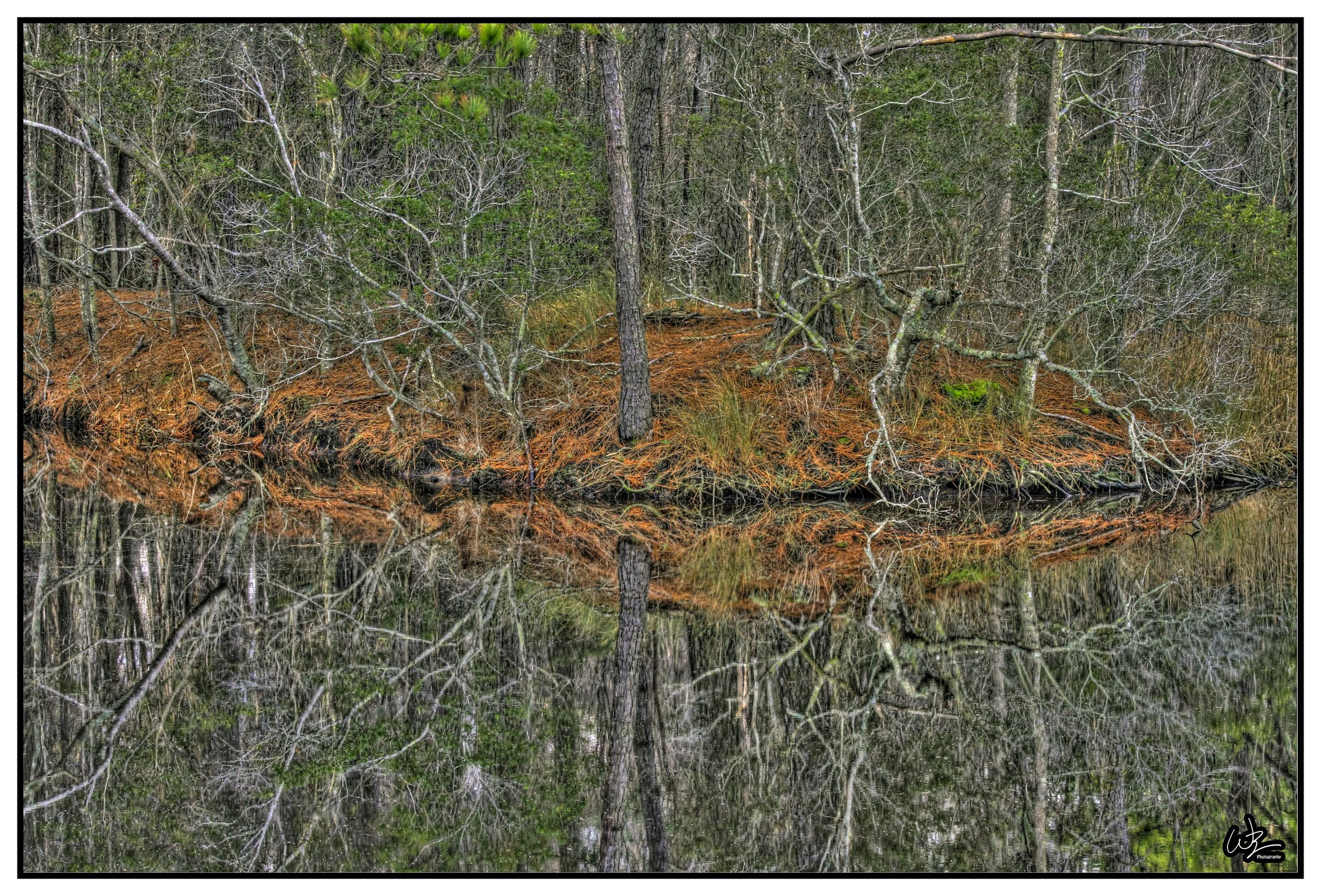 Reflection Mattamuskeet.jpg