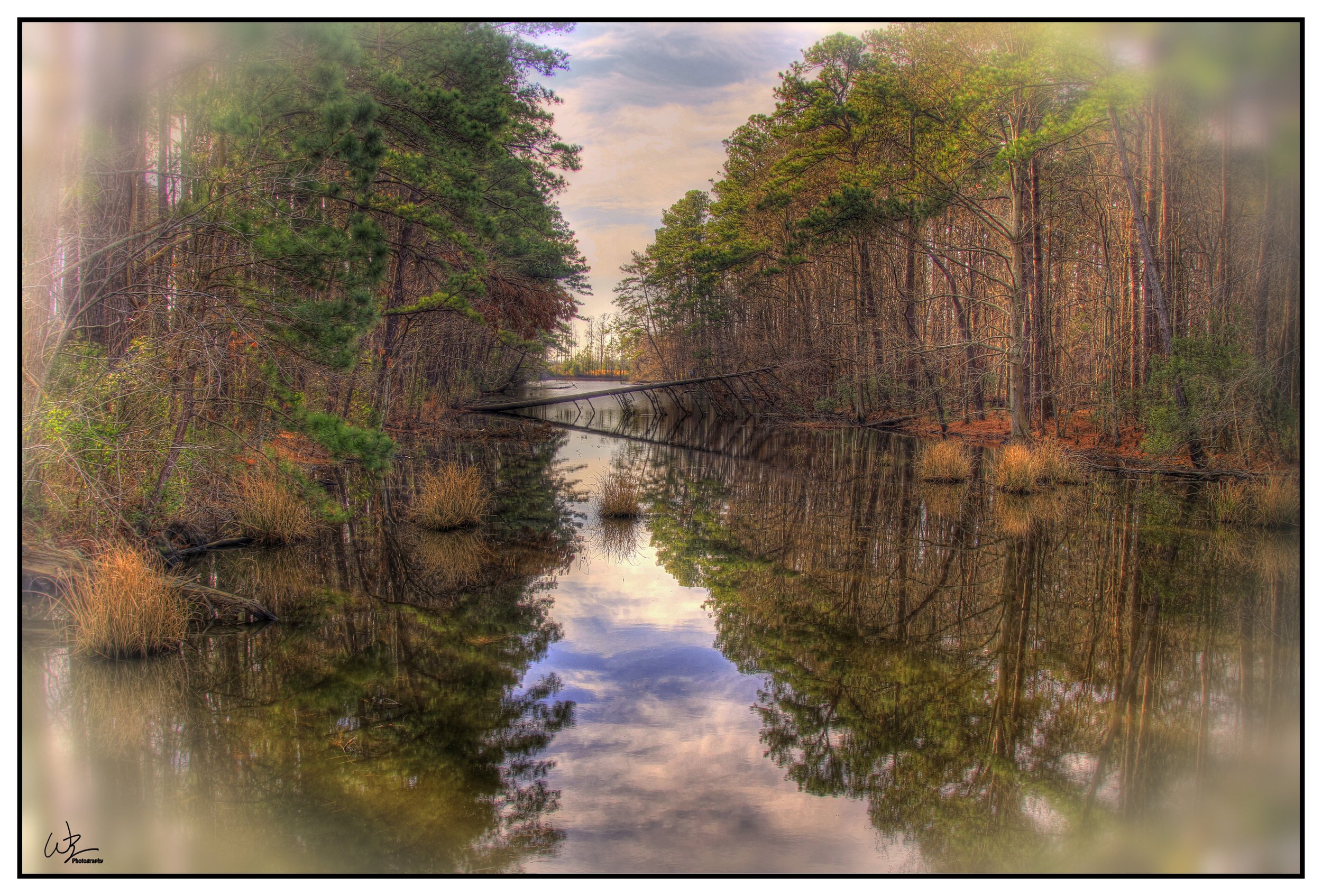 Lake Mattamuskeet Canal copy.jpg