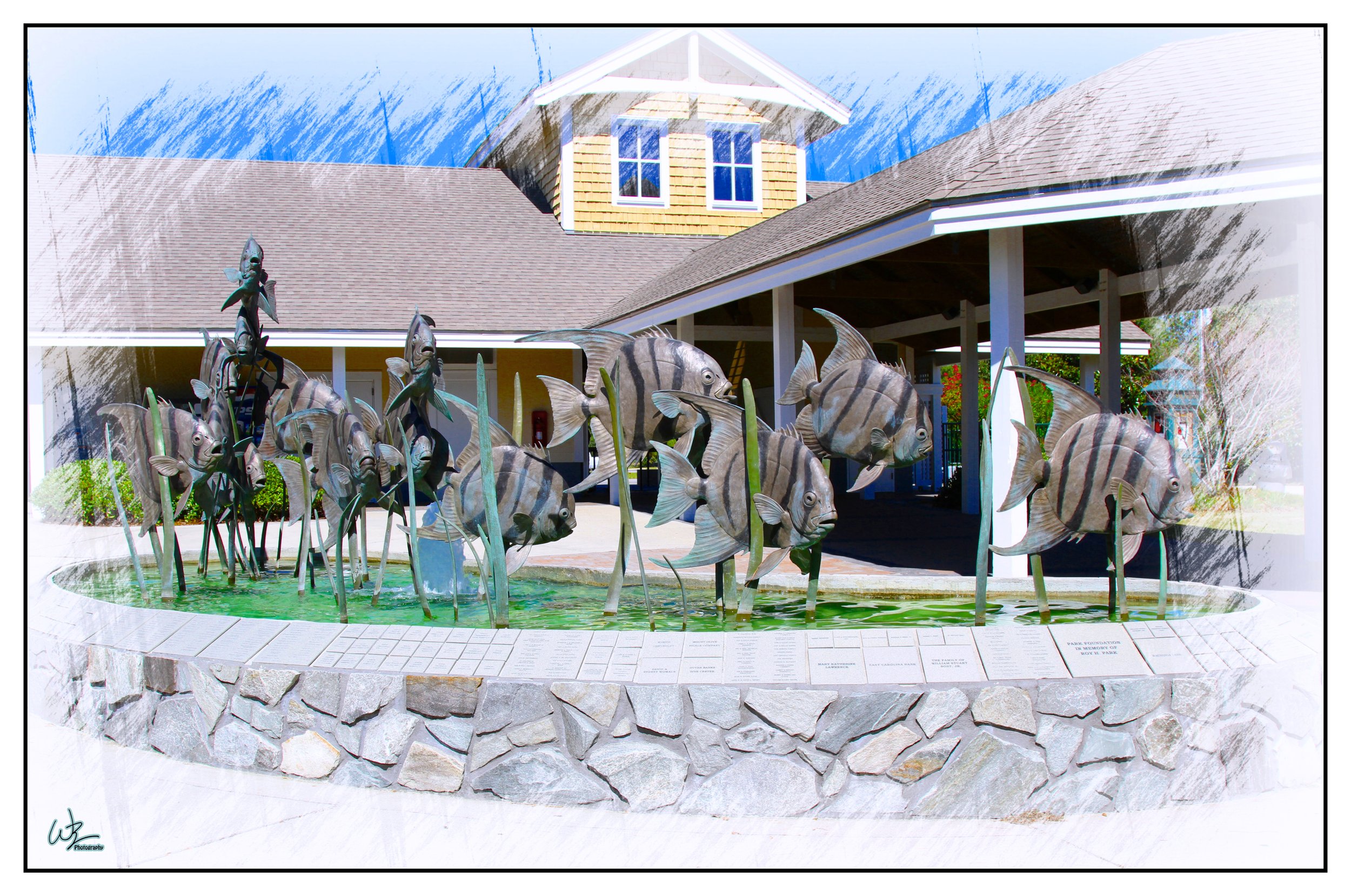 IMG_9198_1_pe copy 2.jpg