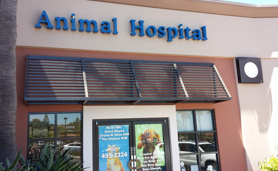 Screen Shot 2020-01-15 at 7.07.14 PM.png