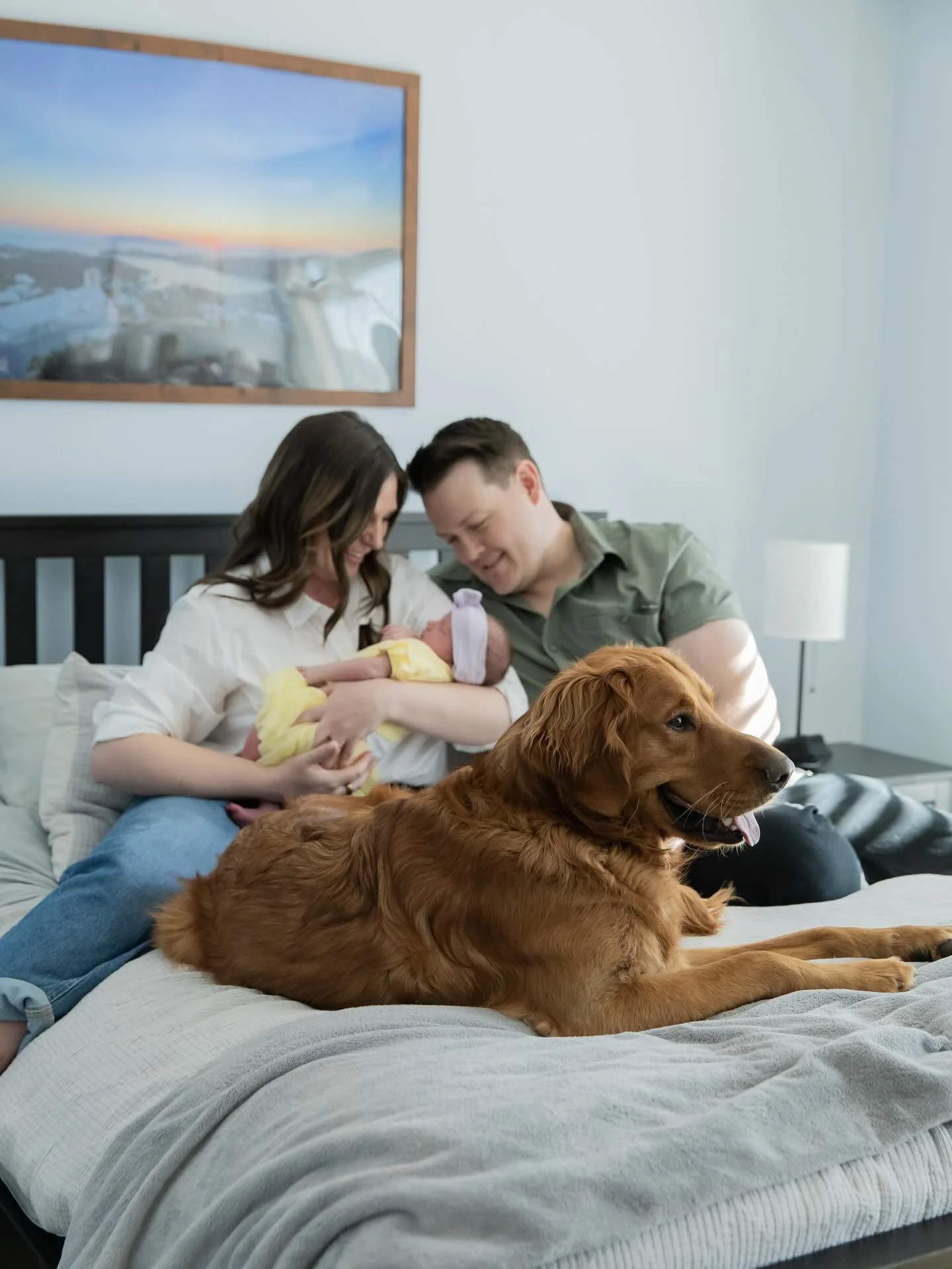 Let&rsquo;s do a newborn session but keep it in your home where you&rsquo;re cozy and comfortable. And YES, your dog can stay. 

Expecting a baby? Don&rsquo;t forget to book your maternity and newborn photos. This season deserves it. YOU deserve it.