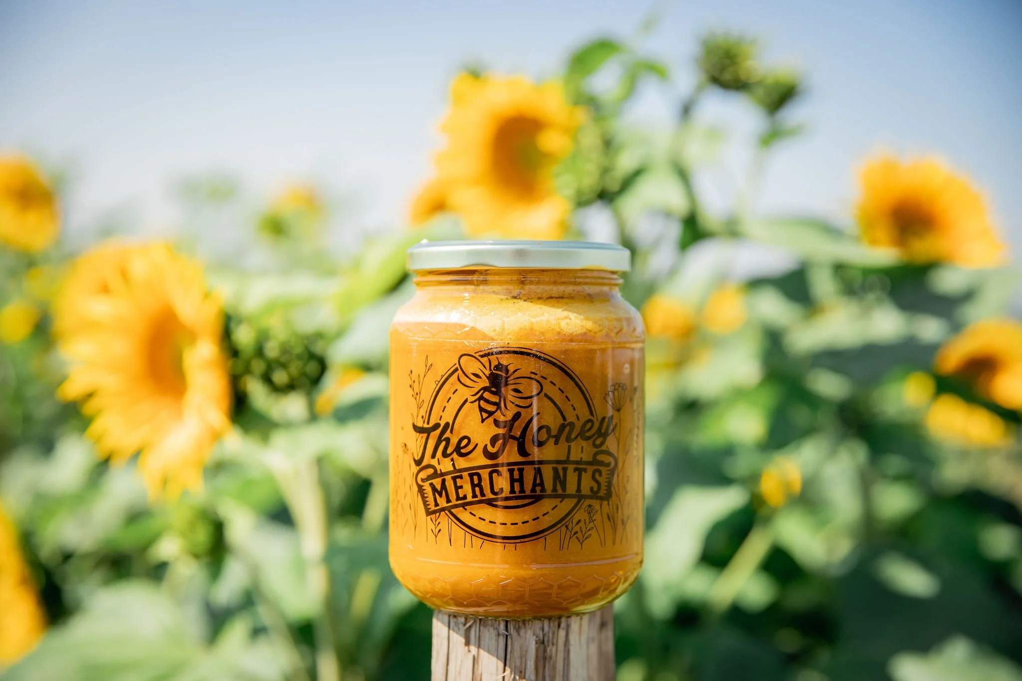 HoneyMerchantsfall23-82.jpg