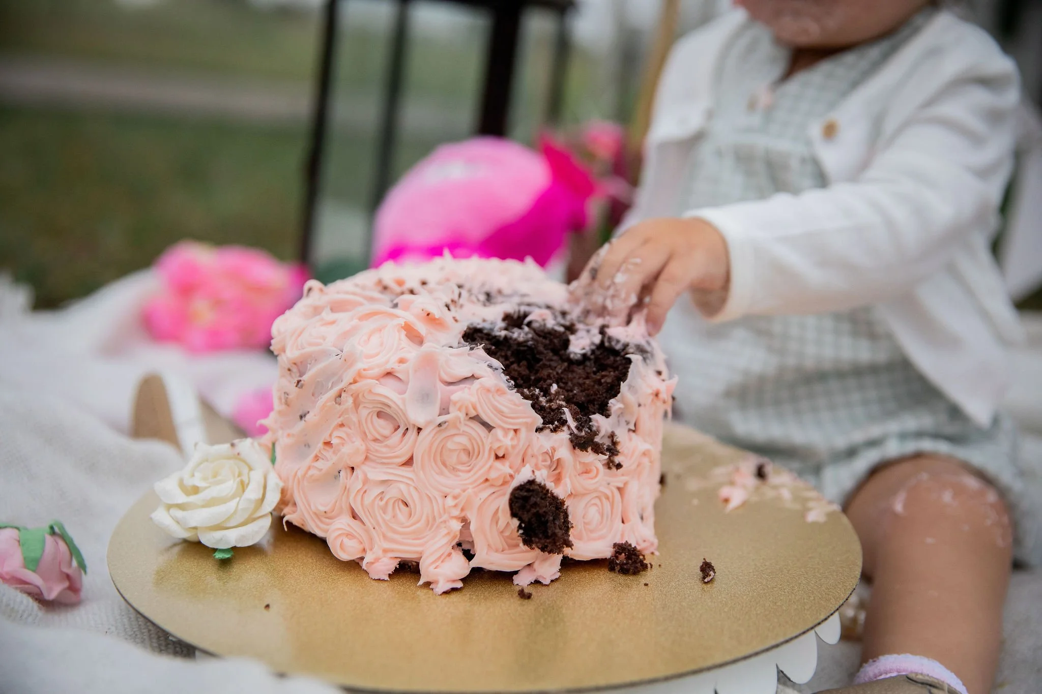 A child in a checked dress is cutting into a pink and brown rosette cake with pink icing roses on a gold-colored board. Outdoor cake smash photos at the Inglewood Bird Sanctuary in Calgary, Alberta. 
