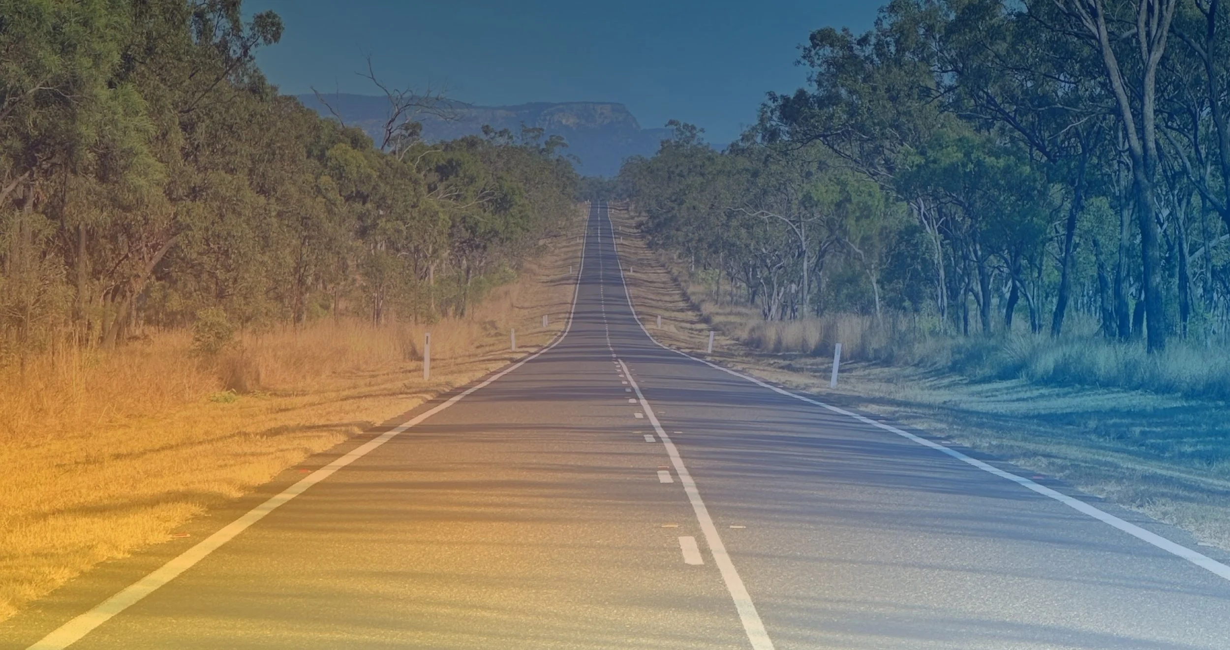 Contact Banner 2.jpg