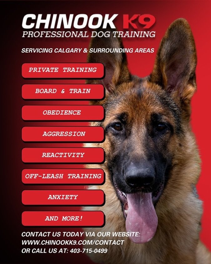 Contact us today for all of your dog training needs! 

For training inquiries, please fill out a contact form via the link our bio or call us at 403-715-0499! 🐕