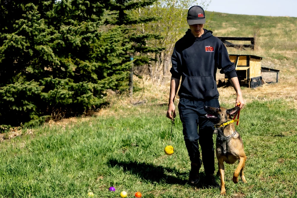 Dylan Rowse with dogs