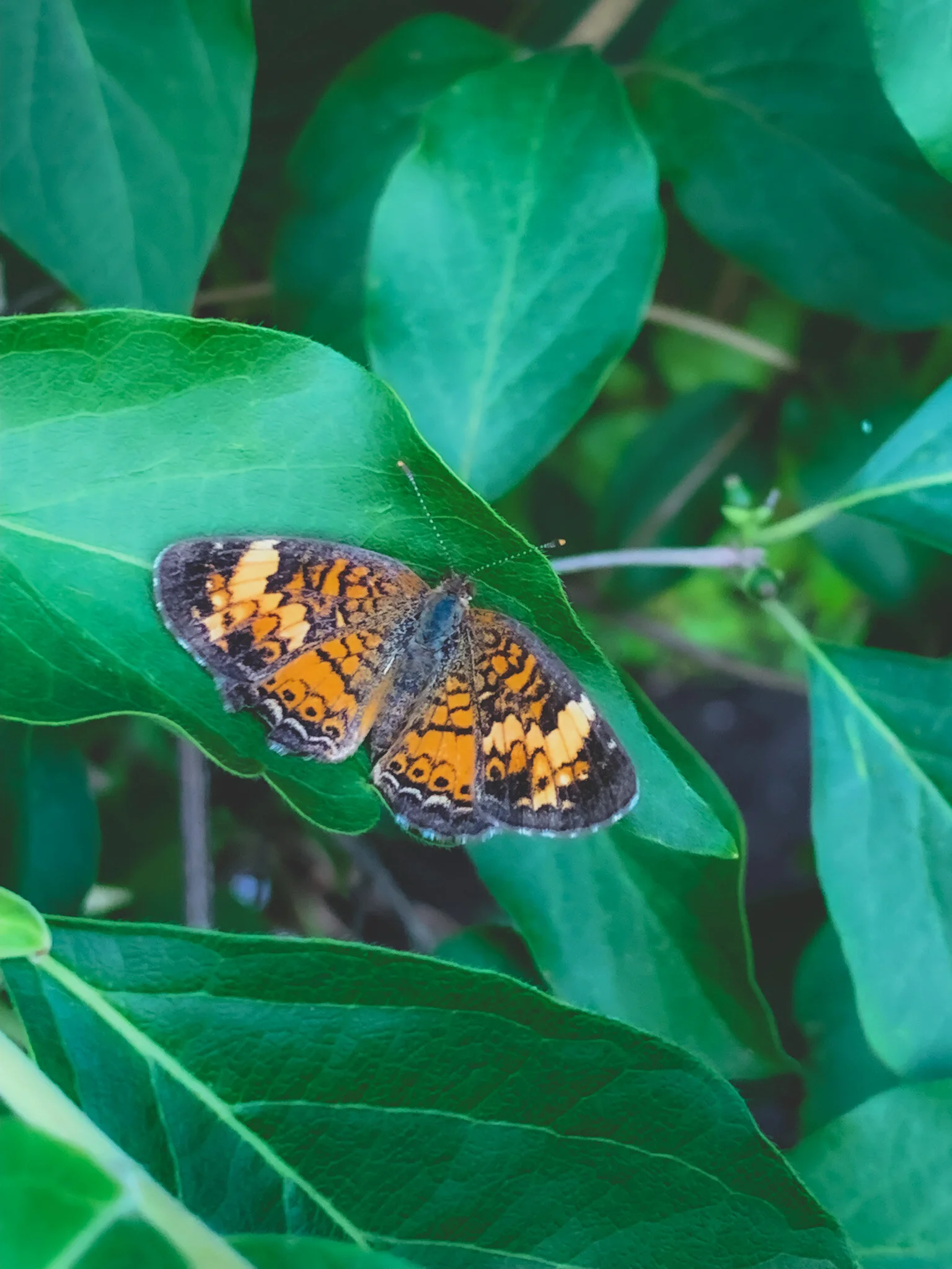 Episode 3: Release and Transmute Old Energies Now