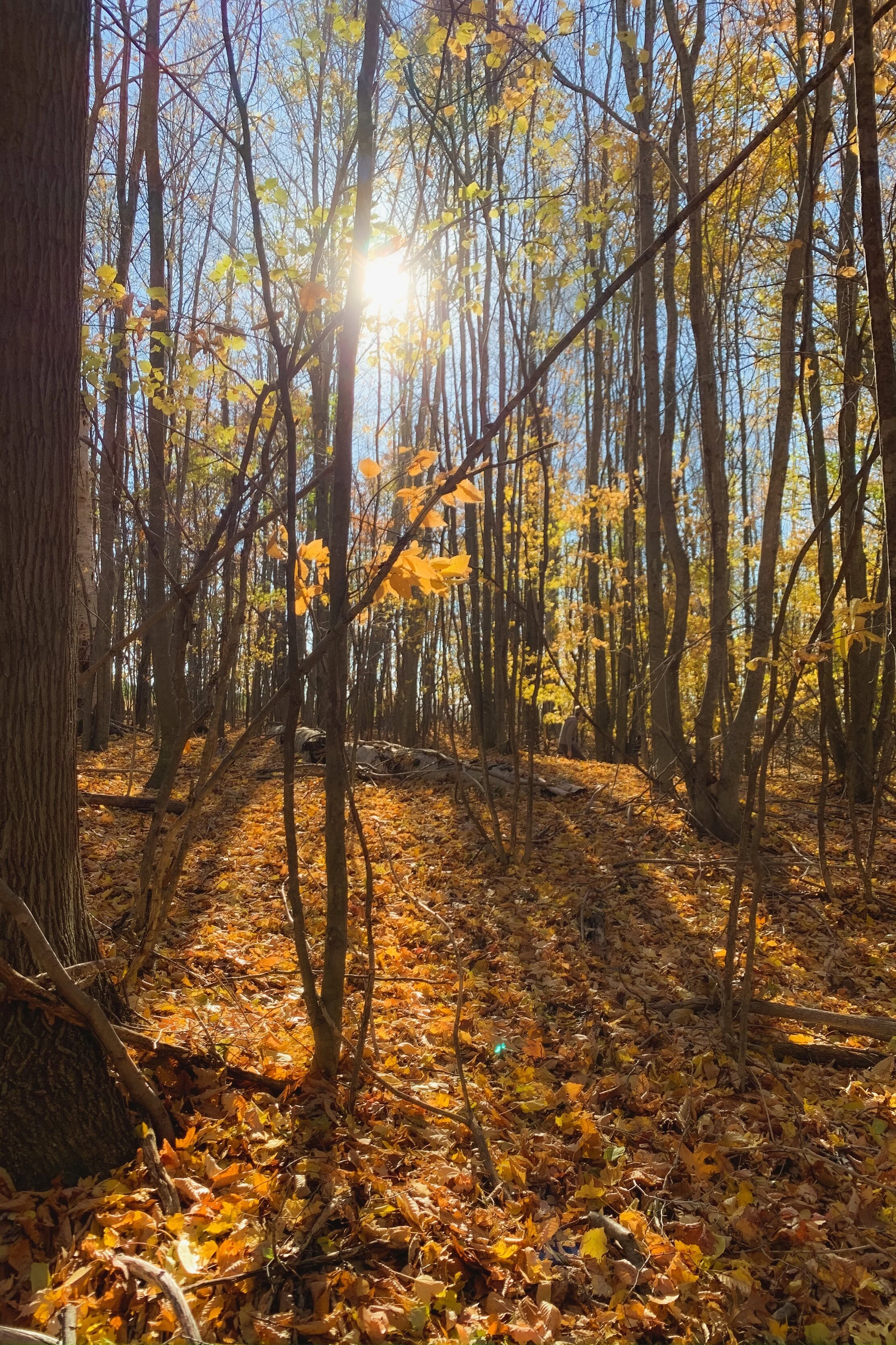 The Journal of a Spiritual Seeker, Resistance and Transmutation