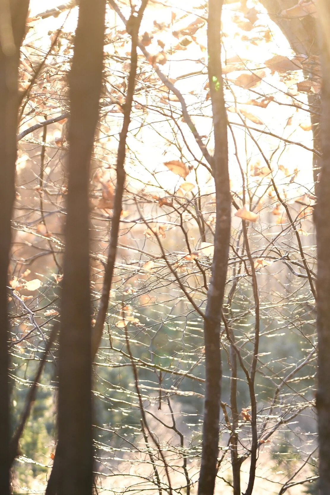 The Journal of a Spiritual Seeker, Recognizing Resistance Within