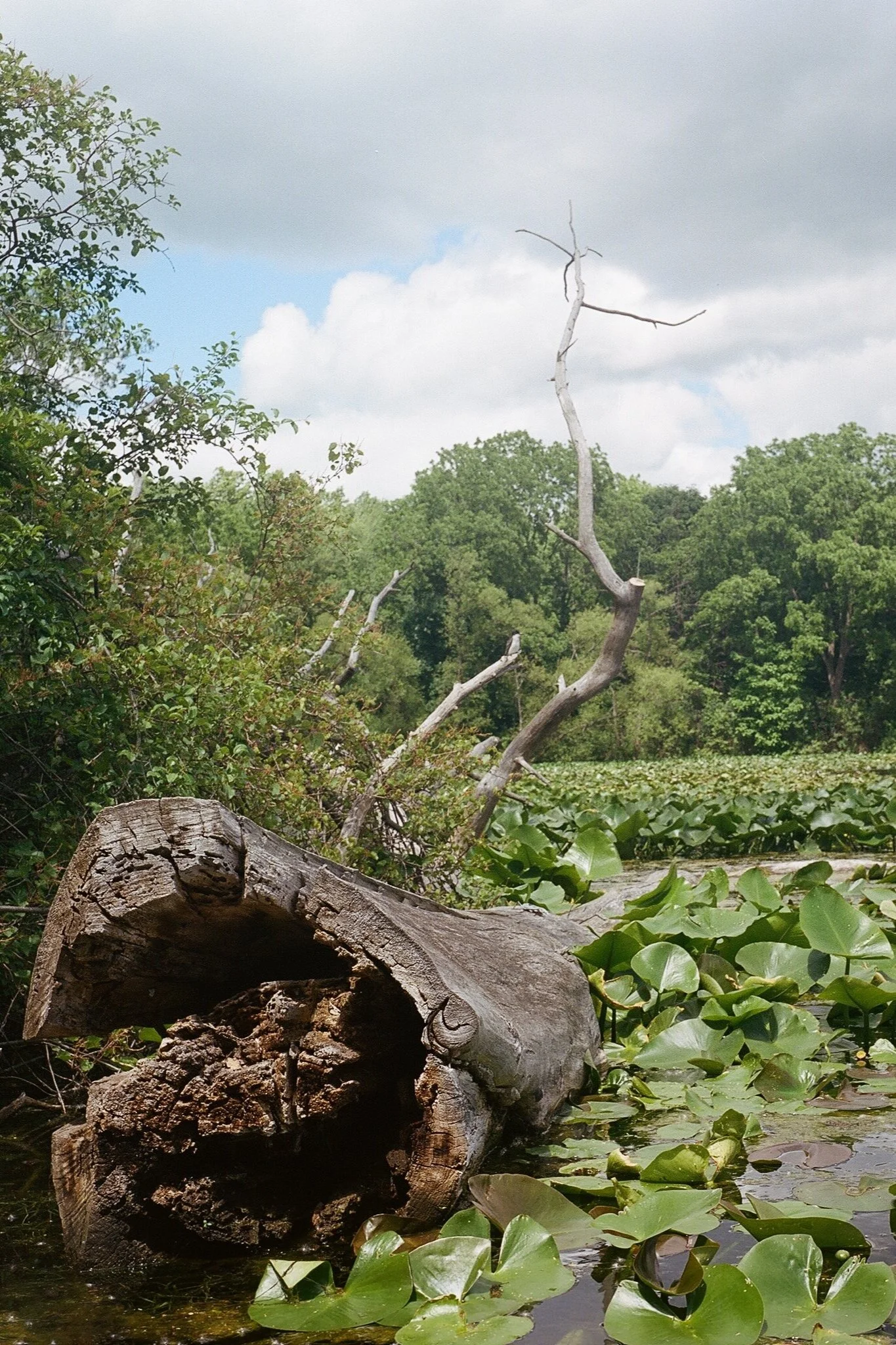 The Journal of a Spiritual Seeker, Understanding Grief as a Process