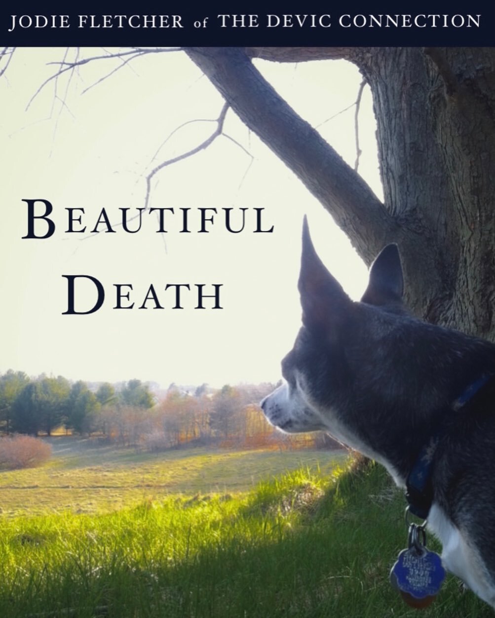 Hello Friends! After oh-so-much fussing, the cover for my next book, Beautiful Death, is finally ready to be seen! The book itself is almost ready, too, so I will be sure to let you know when it&rsquo;s available. The subtitle, which is at the bottom
