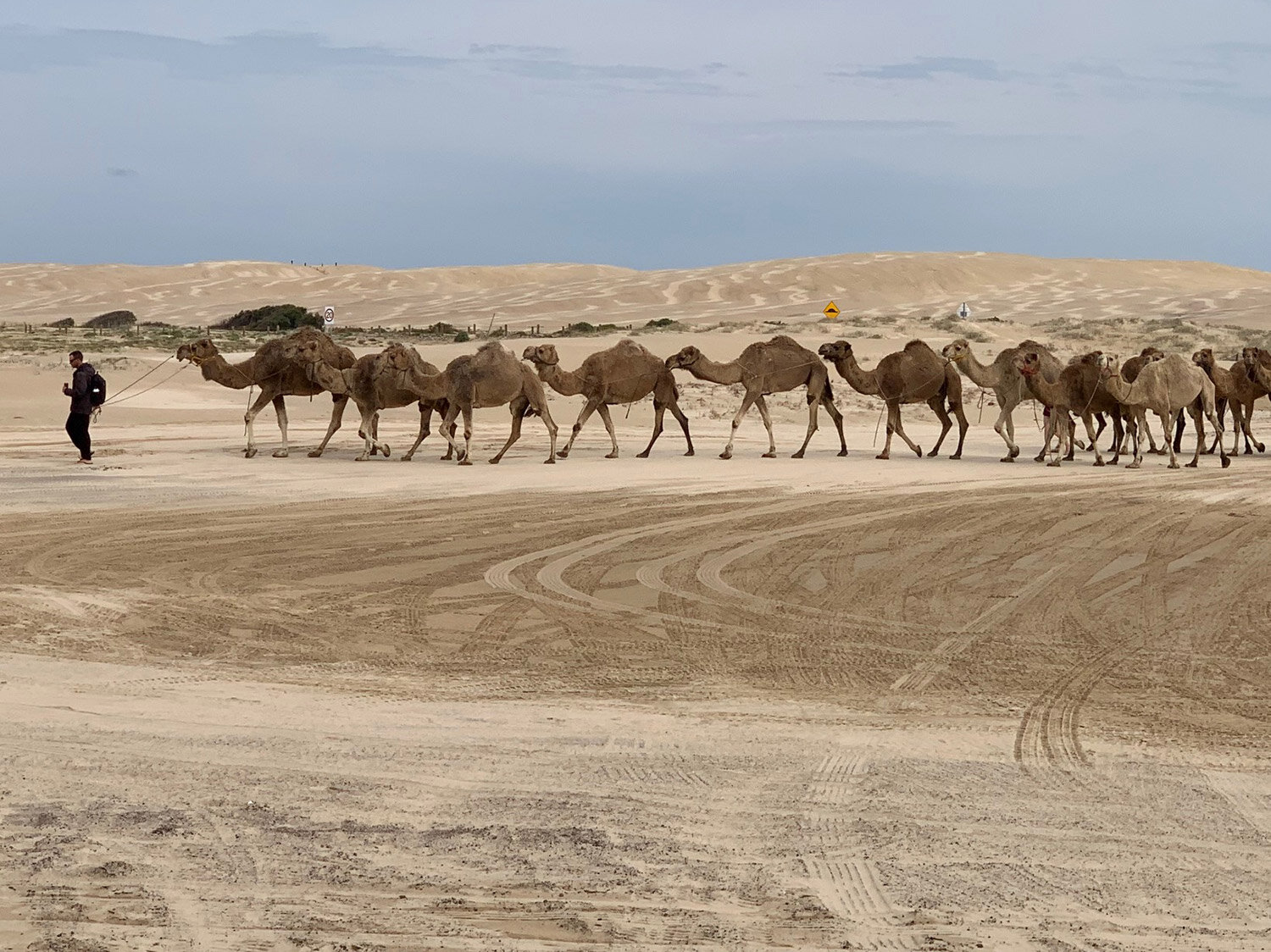 Port Stephens – 6 Day Tour