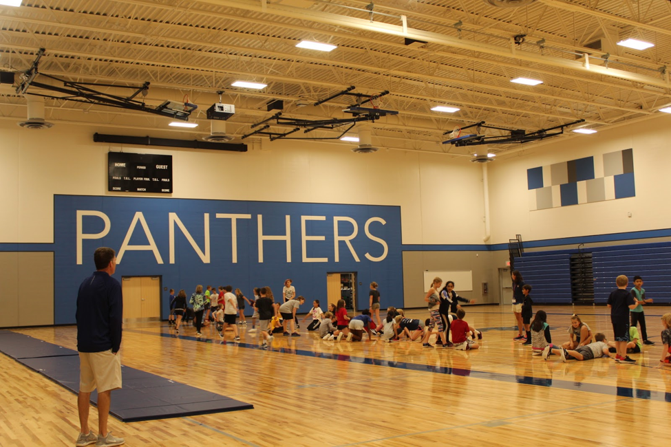 Mr Fox gym class--Kuhlenbeck.png