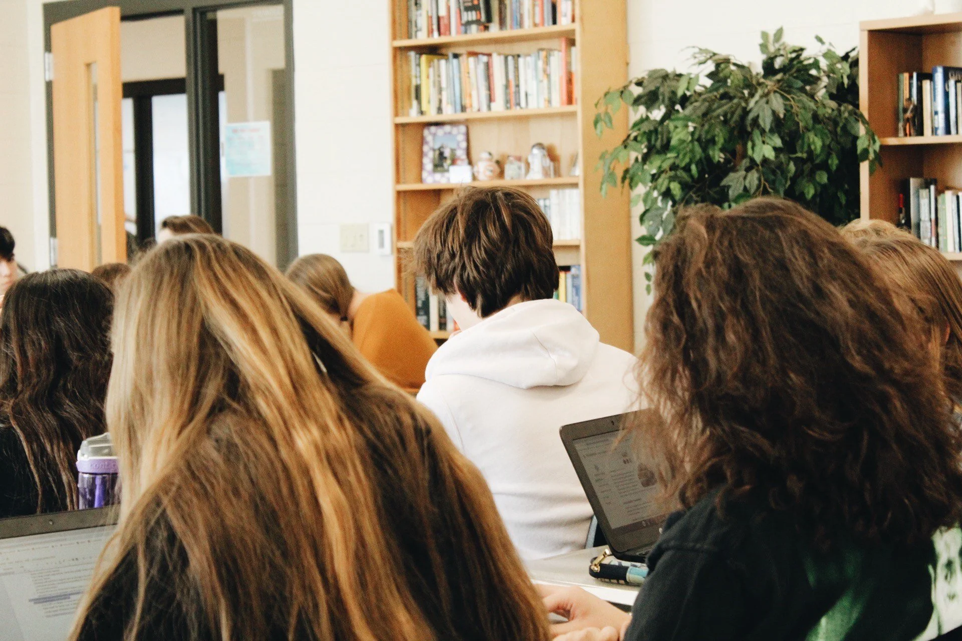 Hamilton’s High Level Classes: Divided by Gender