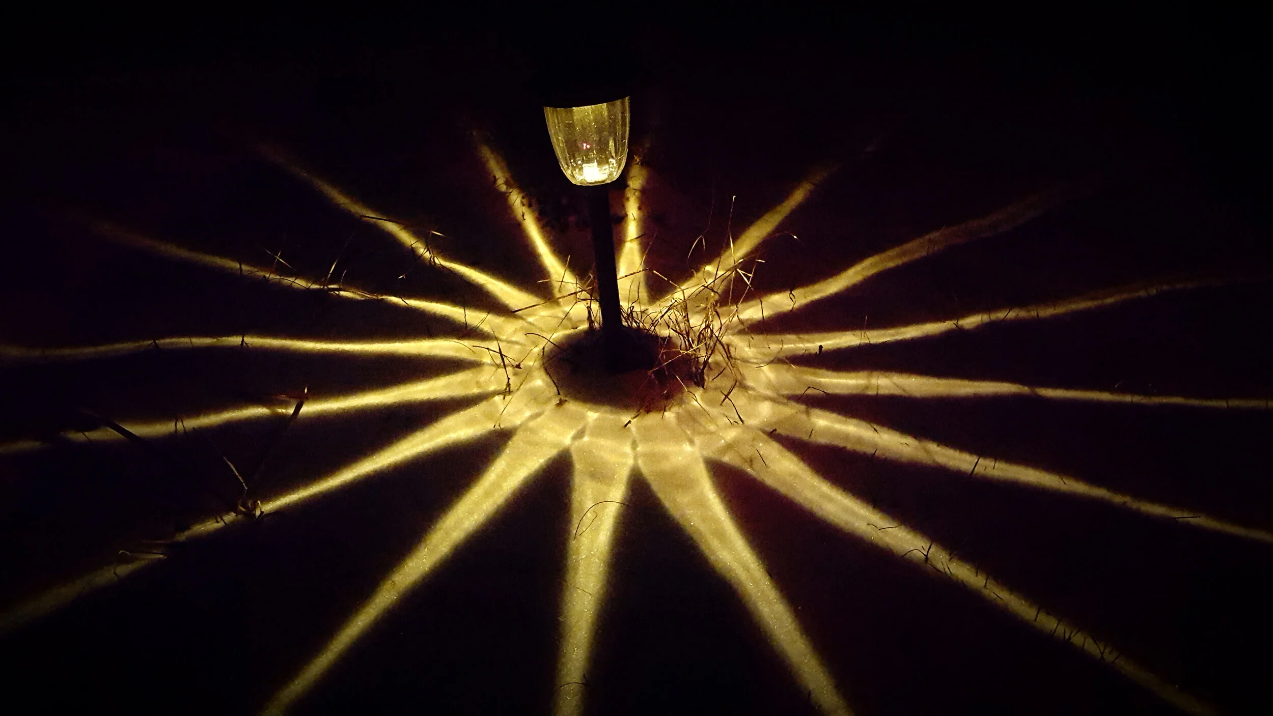 Lucas Wick: Igniting Creativity in Art