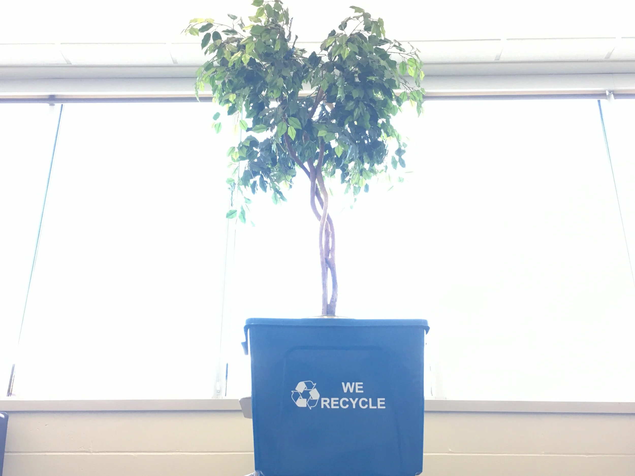 How to Help the Earth: High School Edition