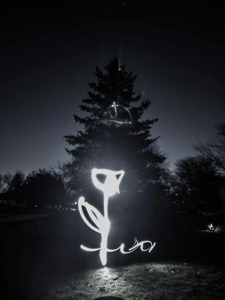 The Light of Imagination