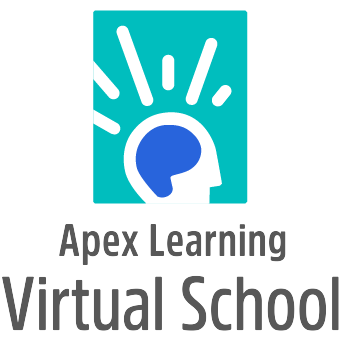 Online School Is Failing Hamilton Students