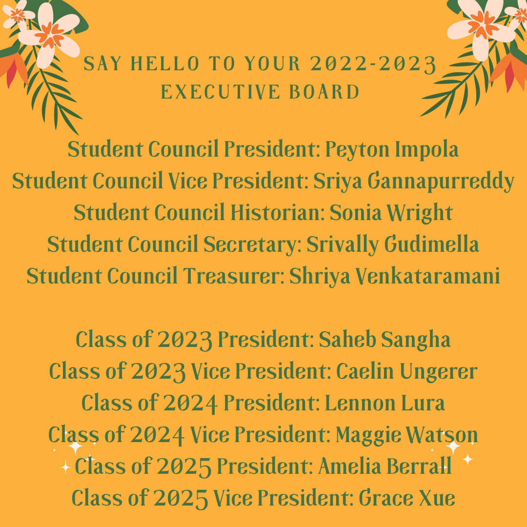 Student Council Elections