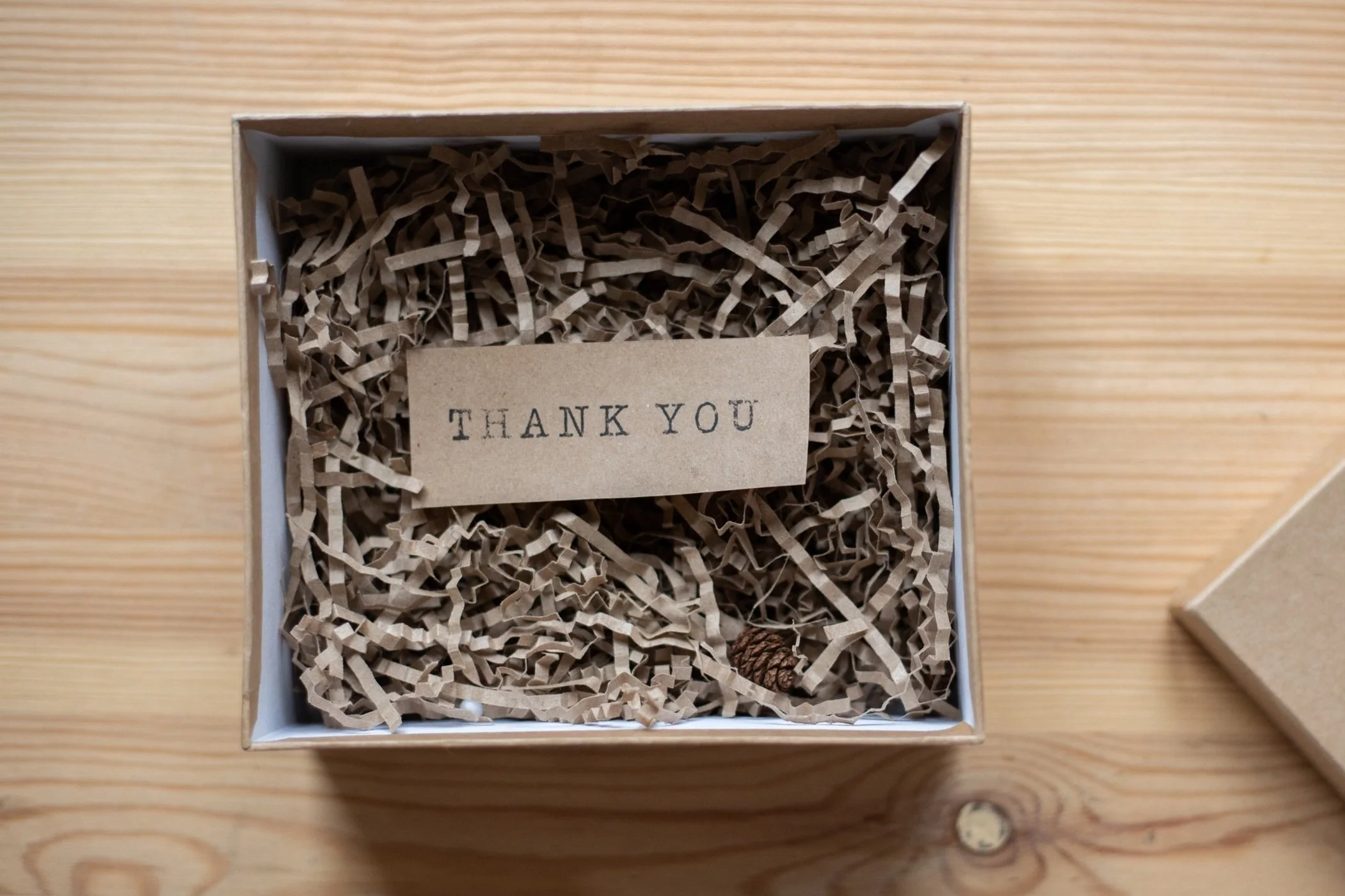 A Letter to My Teachers