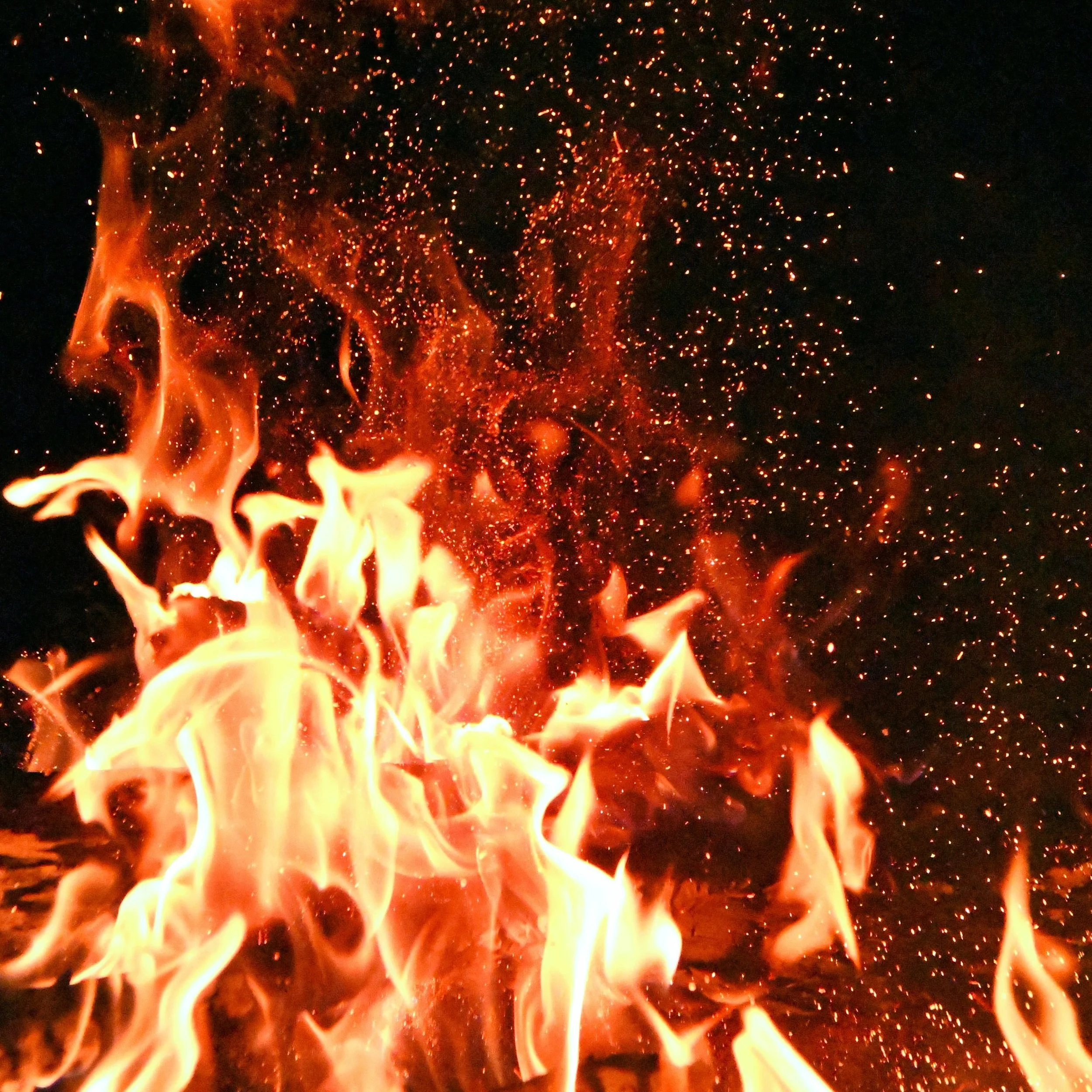 When the World Was Meant to Burn