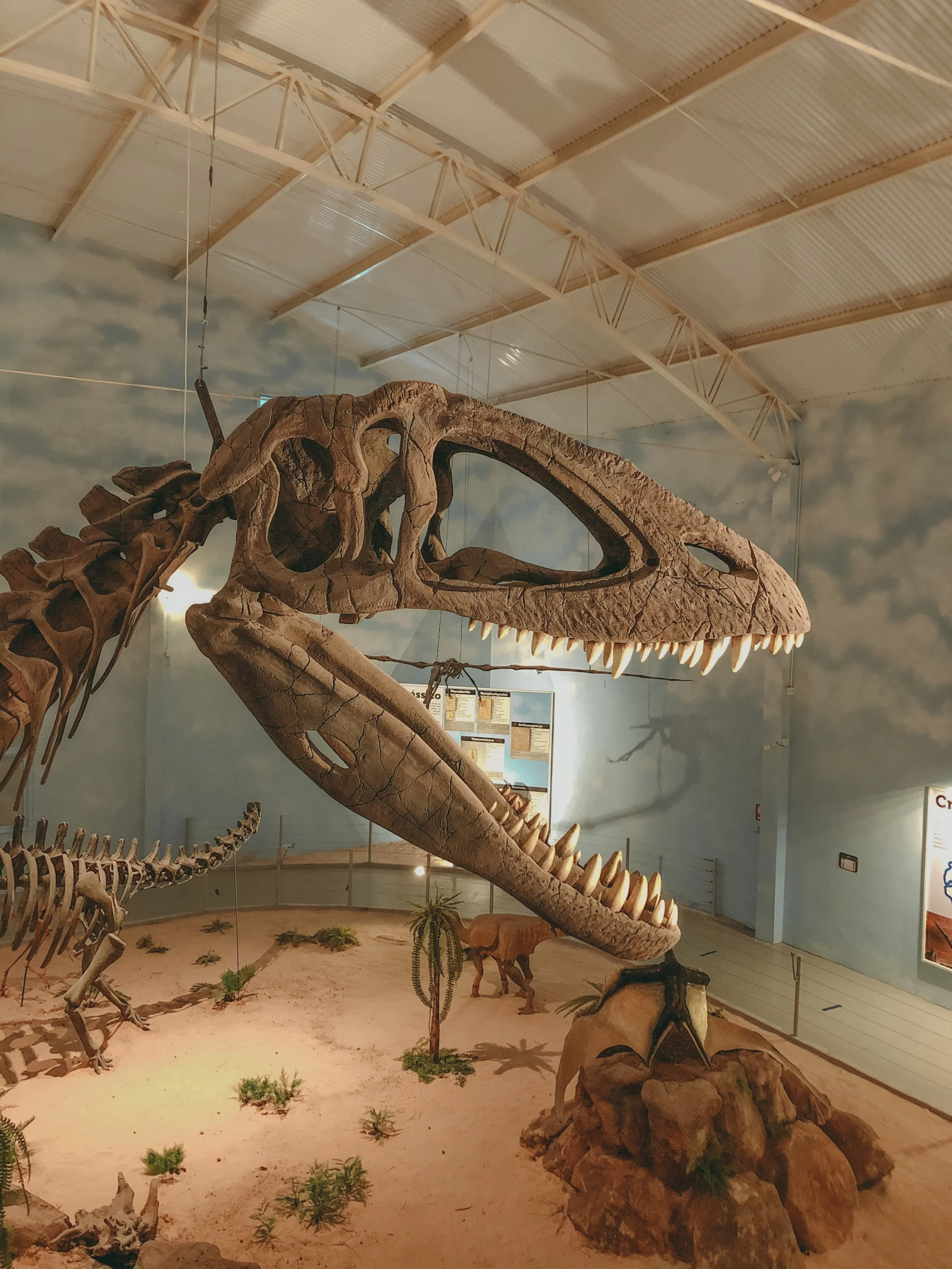 Mary Anning: Mother of Dinosaurs