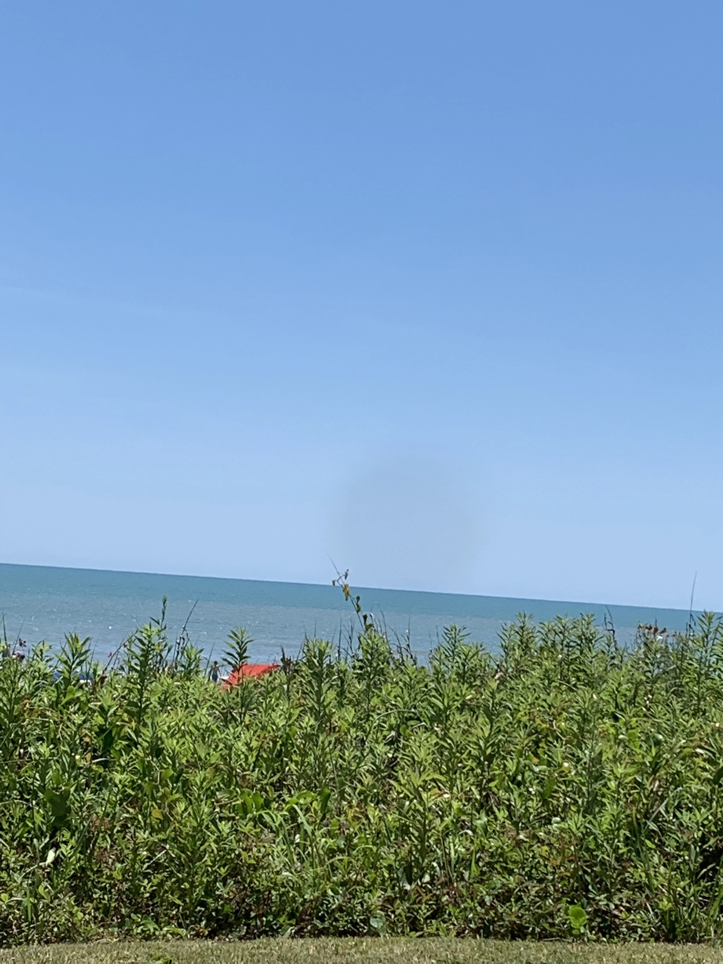 IMG-5493.jpg