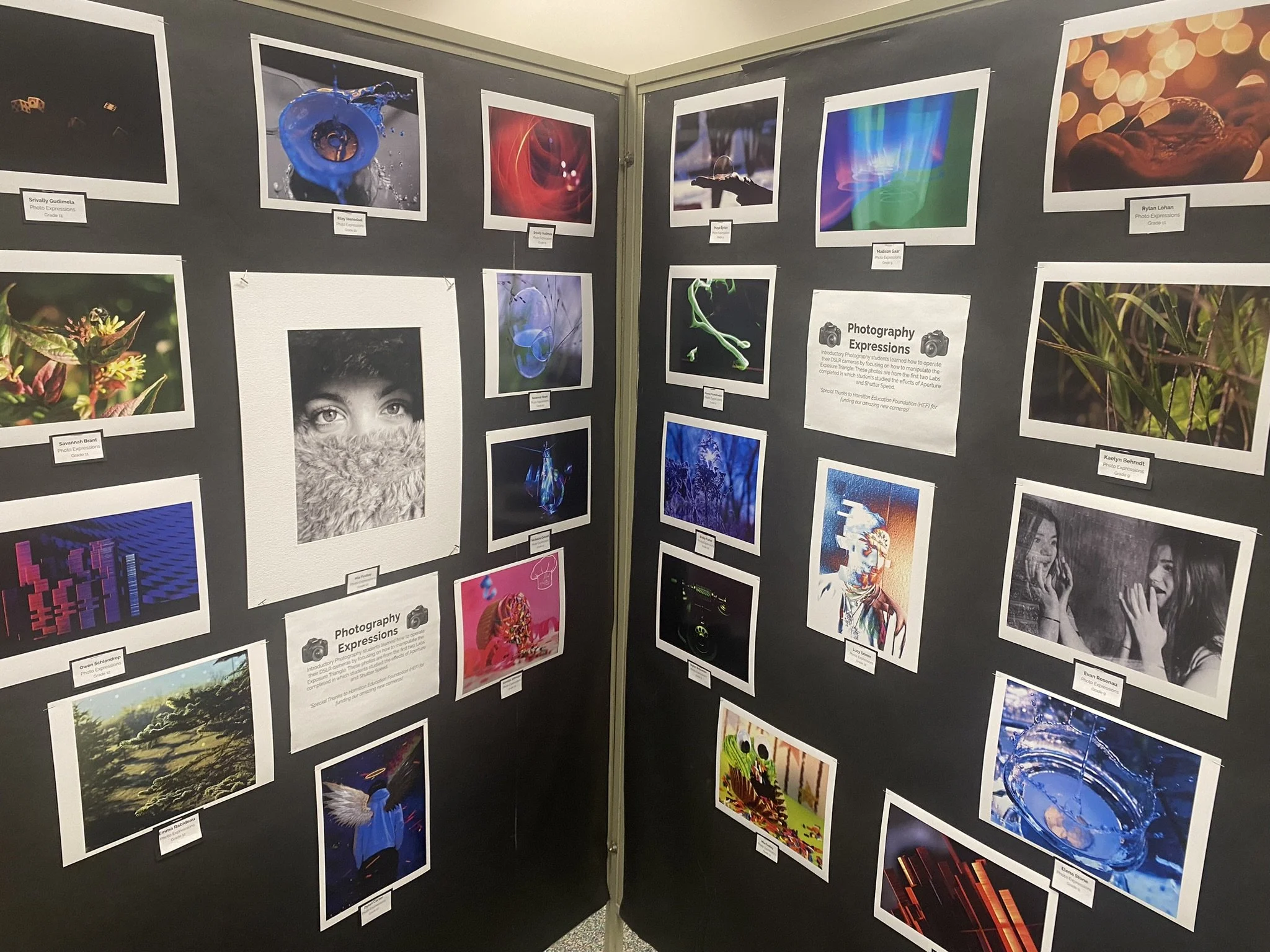 Art Month Pauline Haass