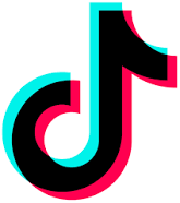 The Problem with TikTok