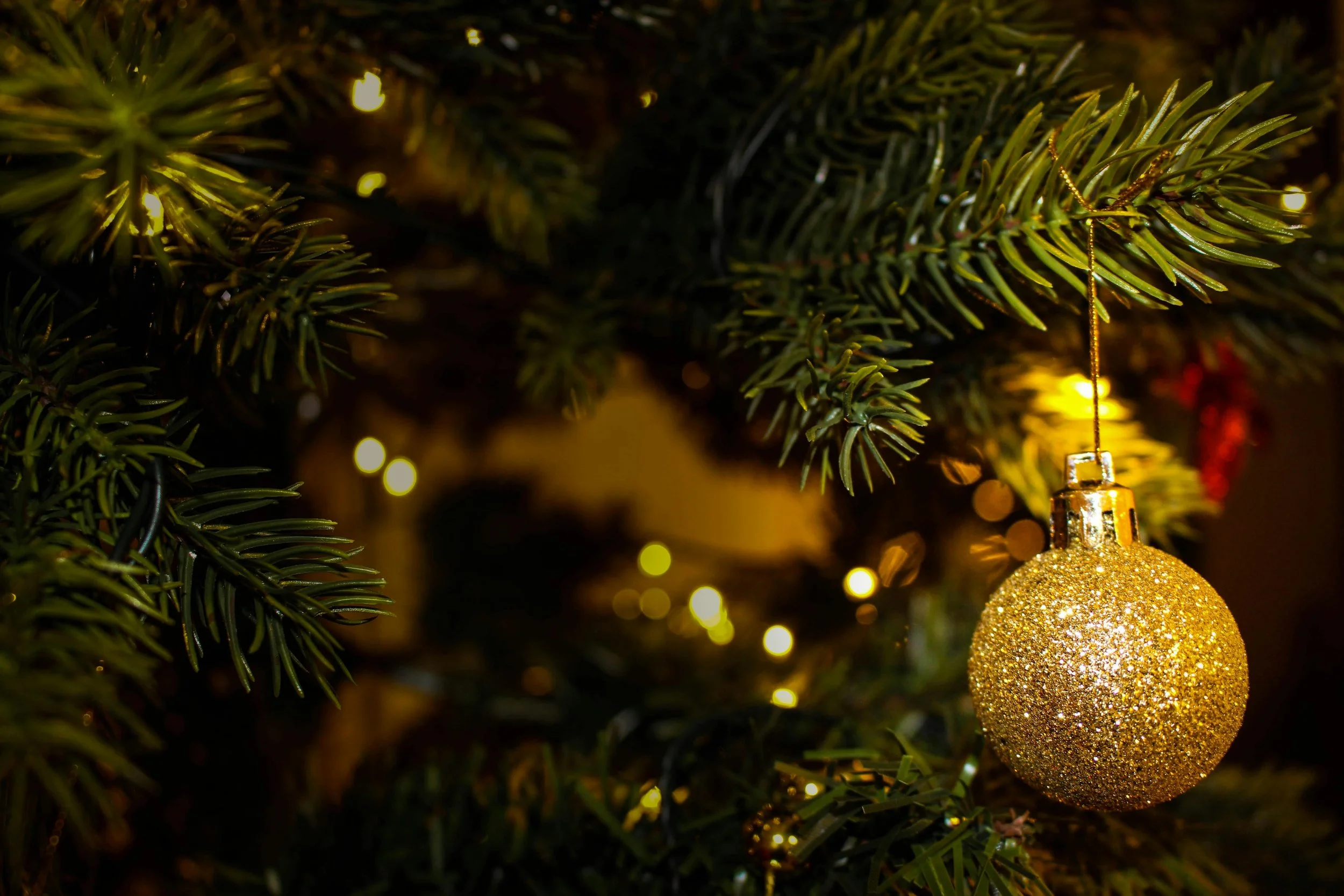 Christmas in the Area: The Best Festivities Around Town