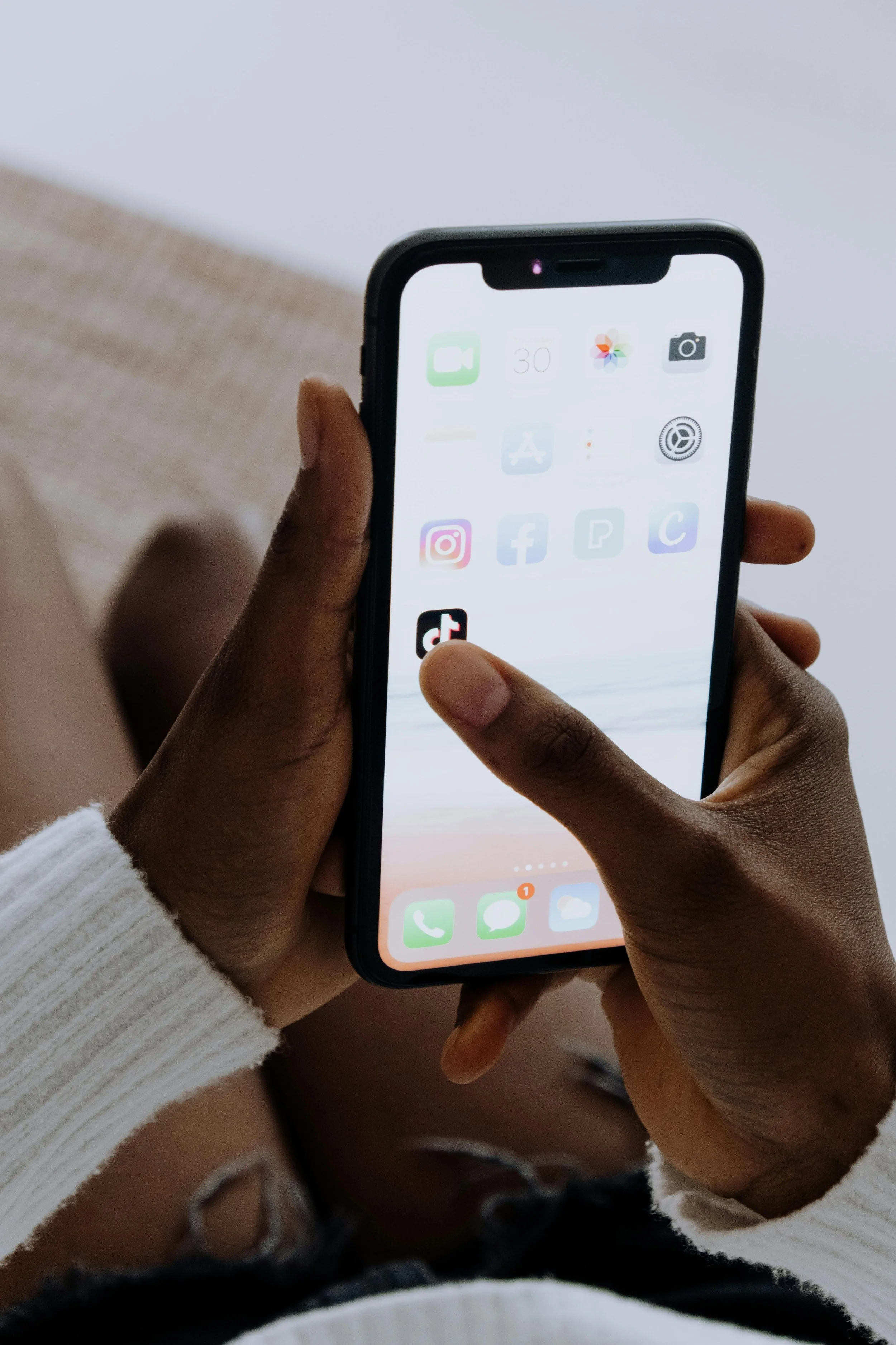 TikTok is Not the Problem: America is
