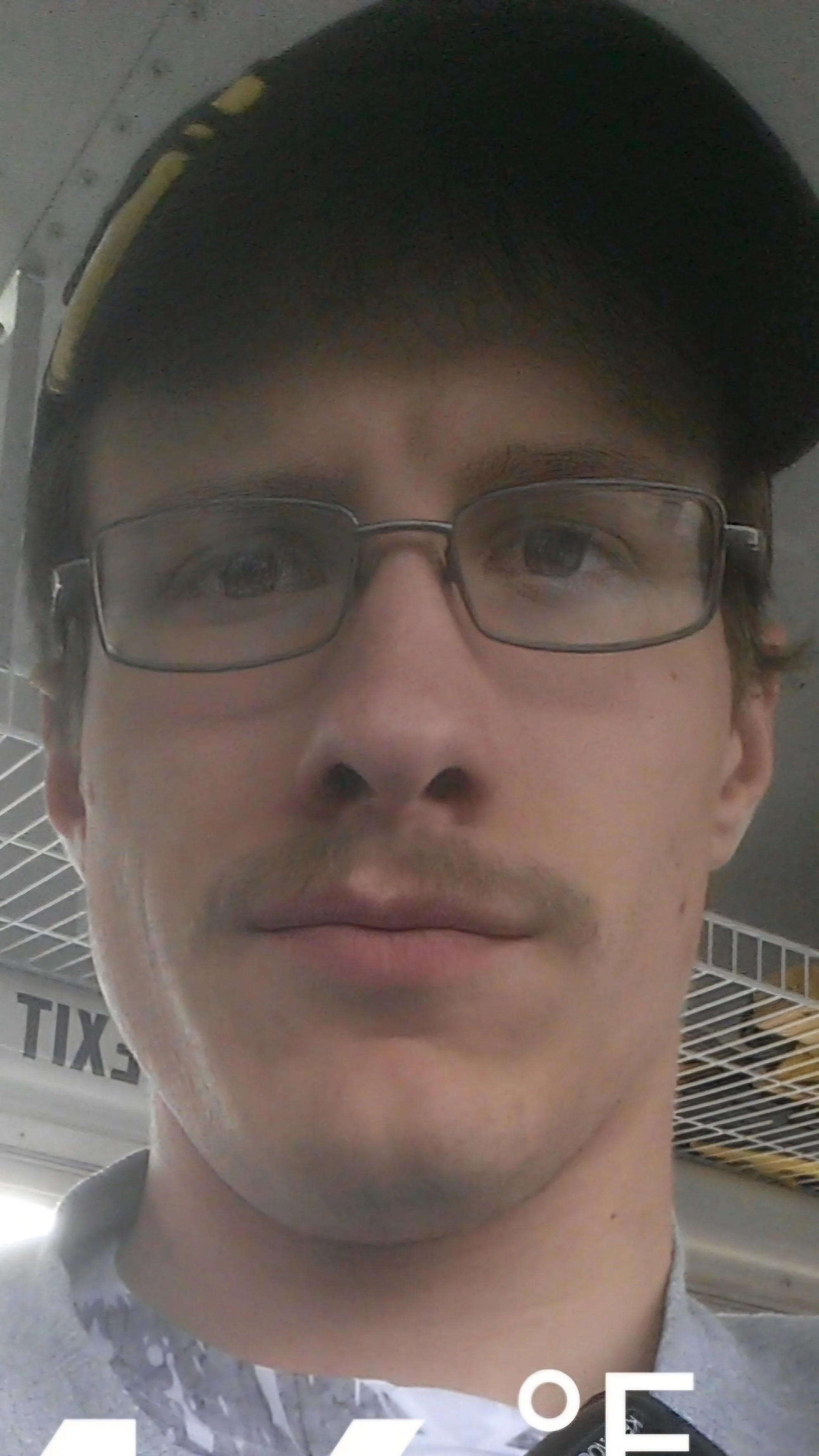 2016 Mustache.jpg