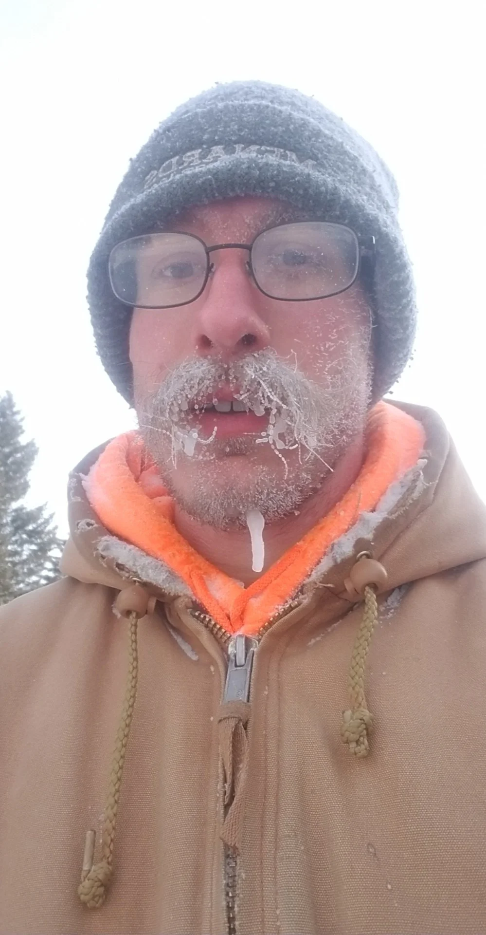 The IceStache.jpg
