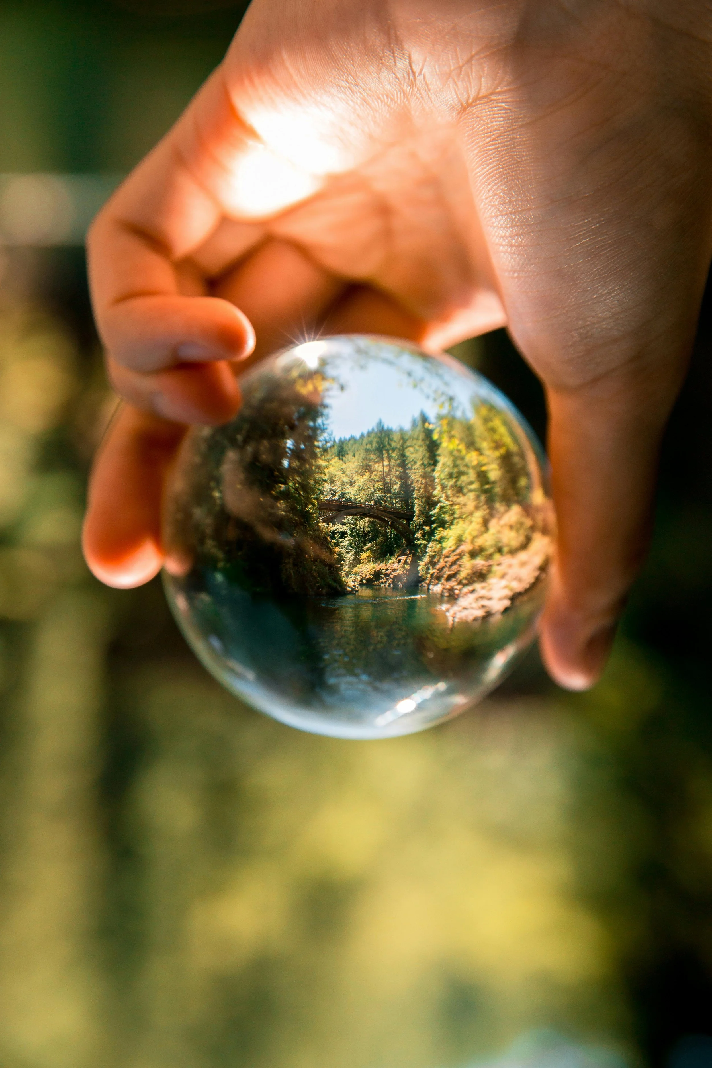Easy Ways You Can Help the Environment