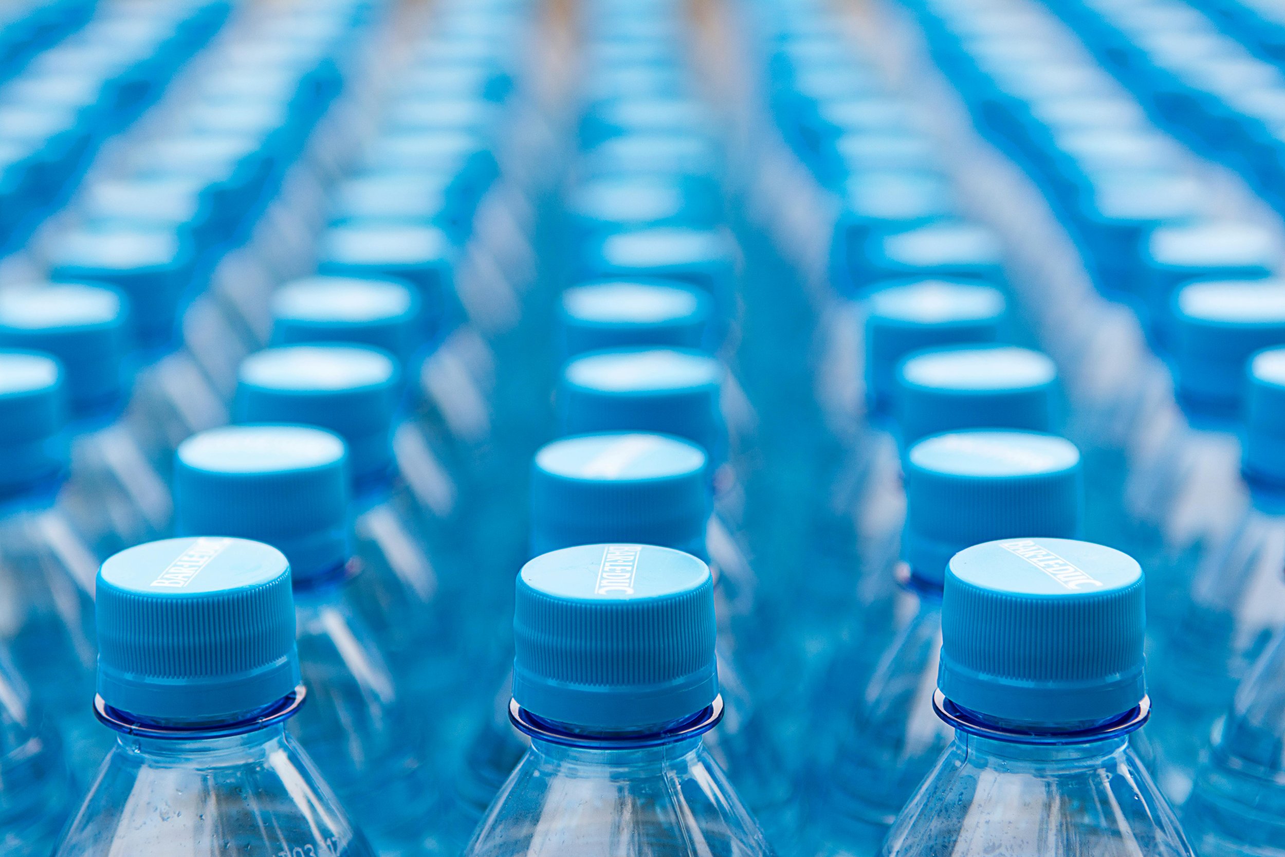 What Happens When Chemicals Rewrite Your Biology?