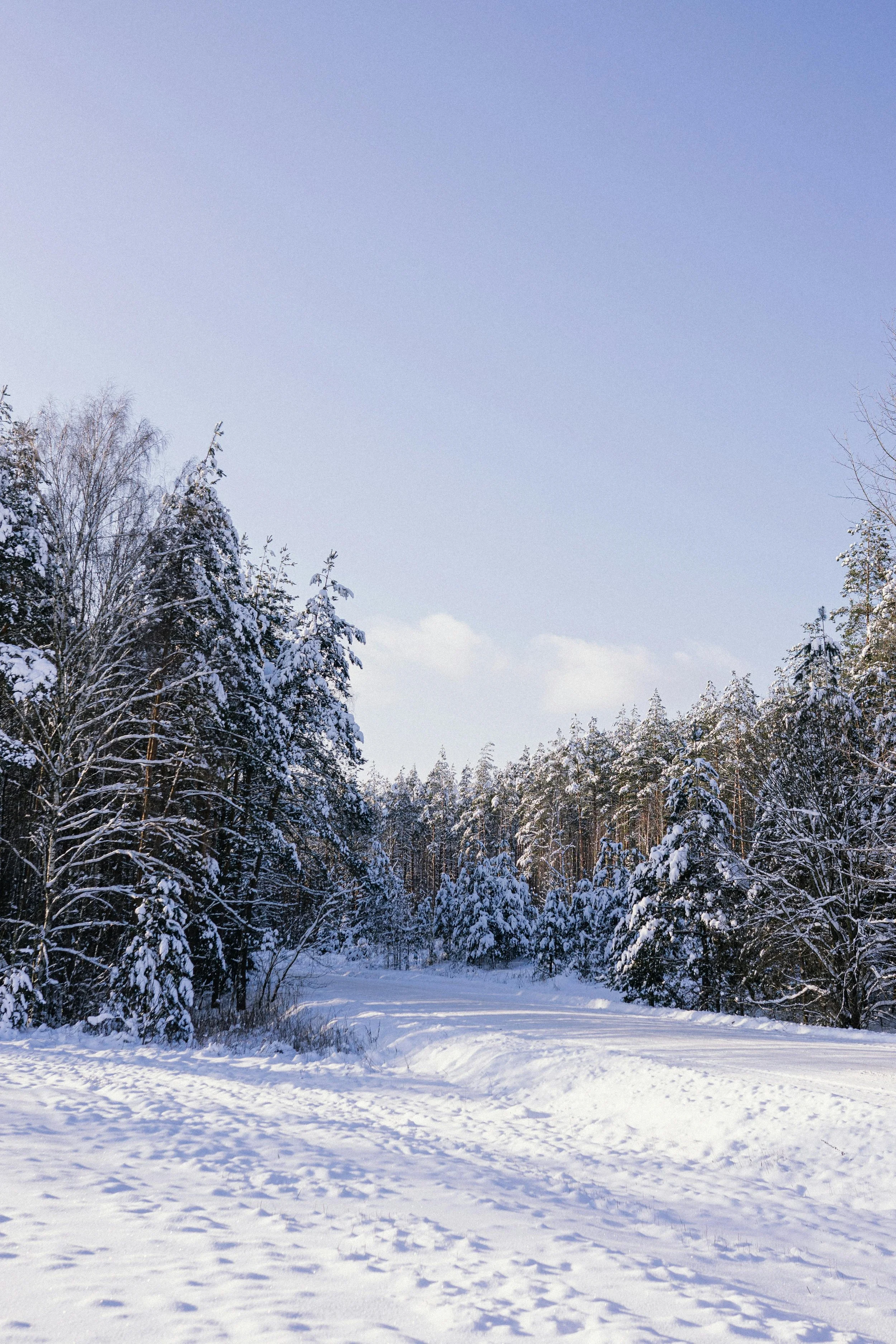 Turning Earlier Nights Into Better Days: What is Seasonal Depression and How to Deal With It