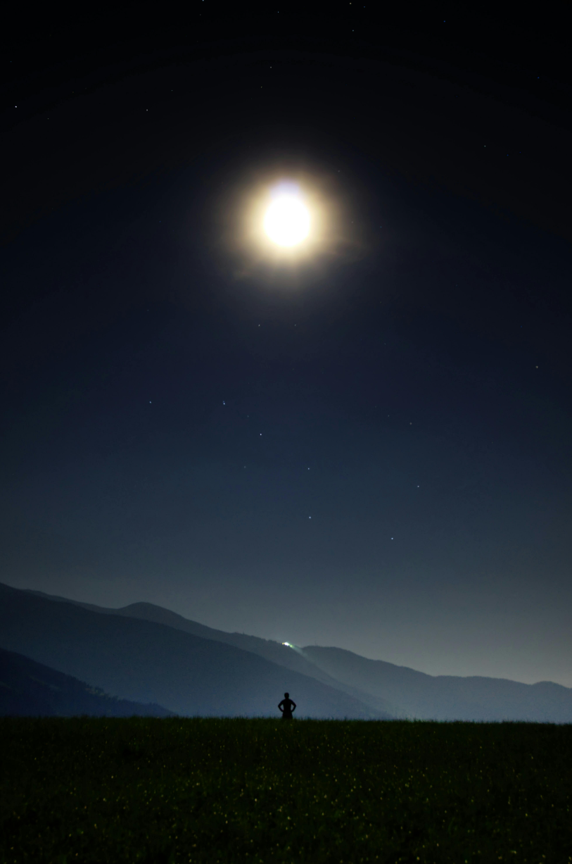 Nights of Silence