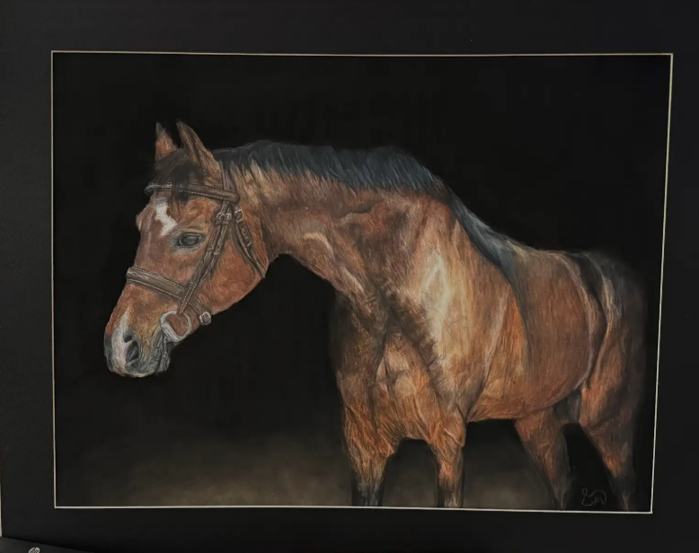 Horse Drawn With Colored Pencil