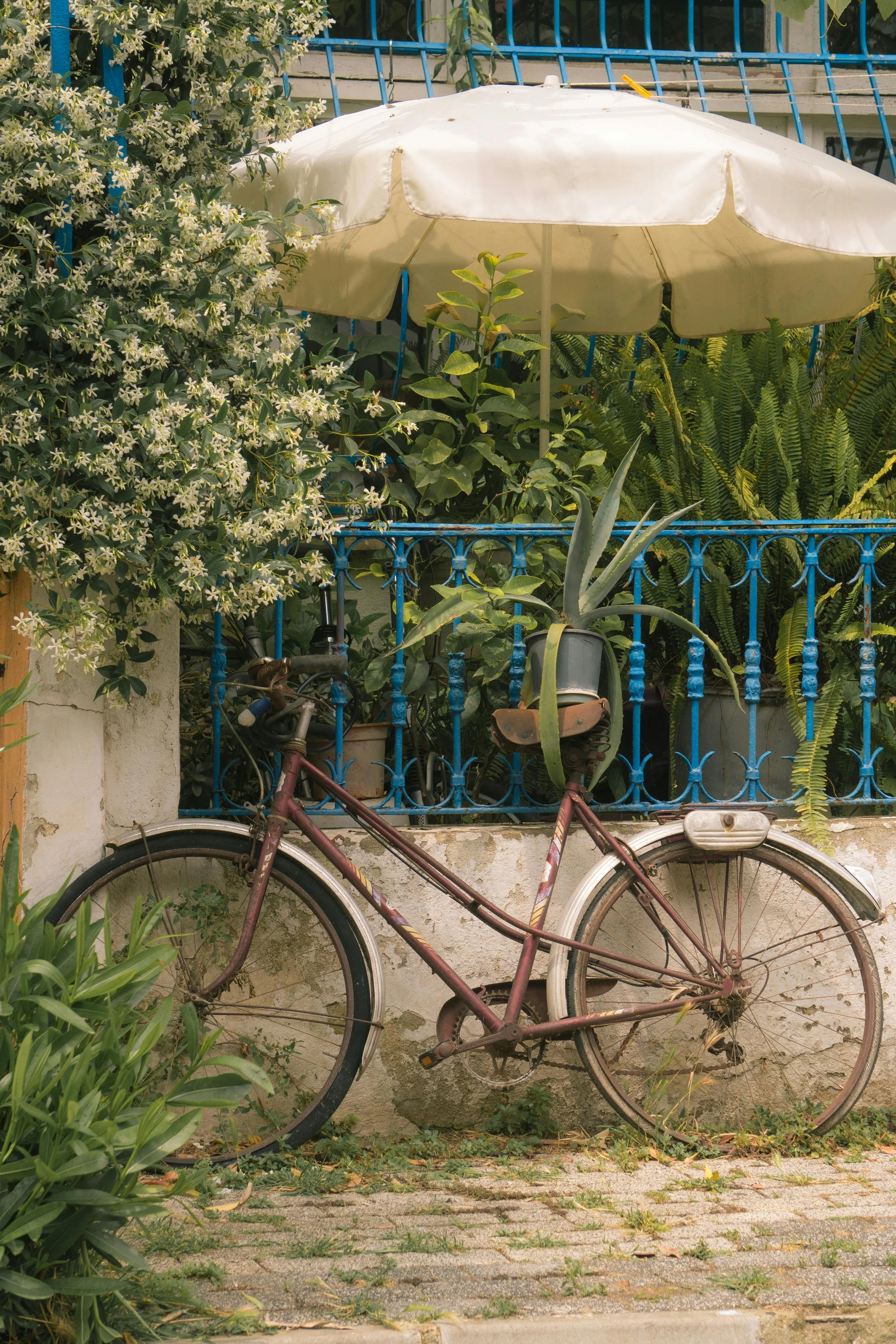 Finding the Enormity