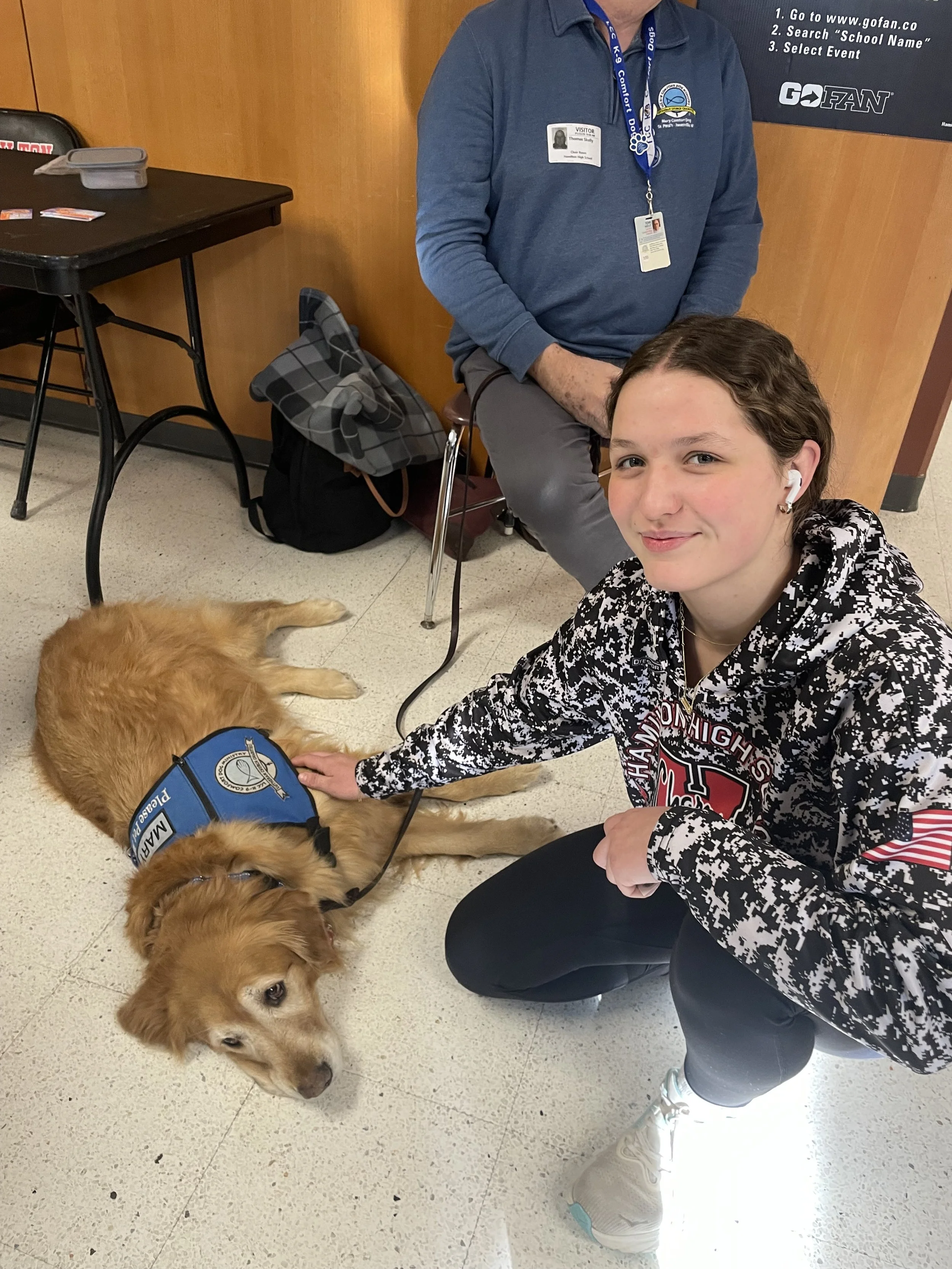 Paws of Comfort: How Do Support Dogs Help?