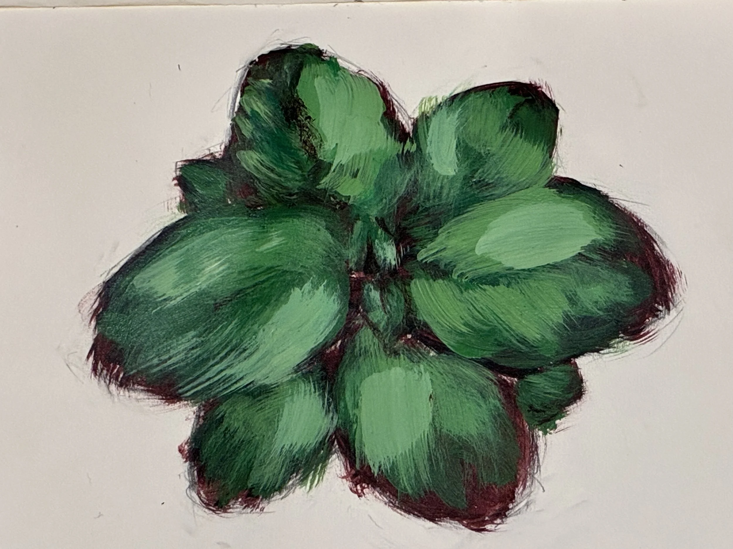 Painting of basil