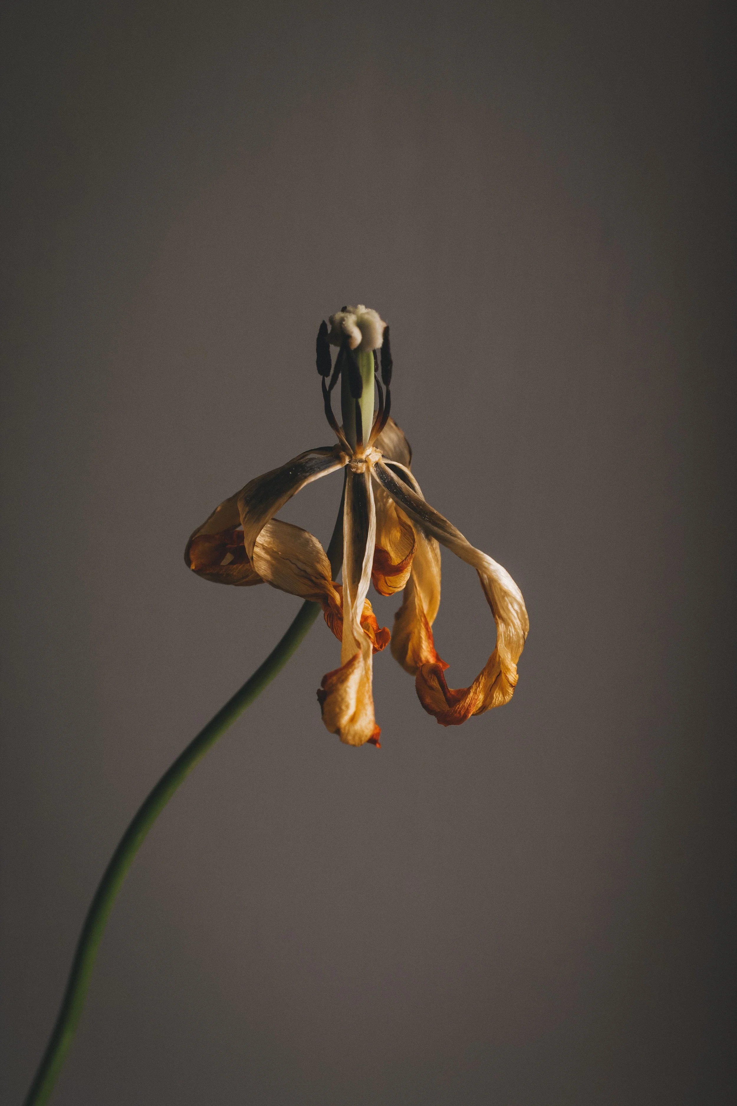 Kill a Flower