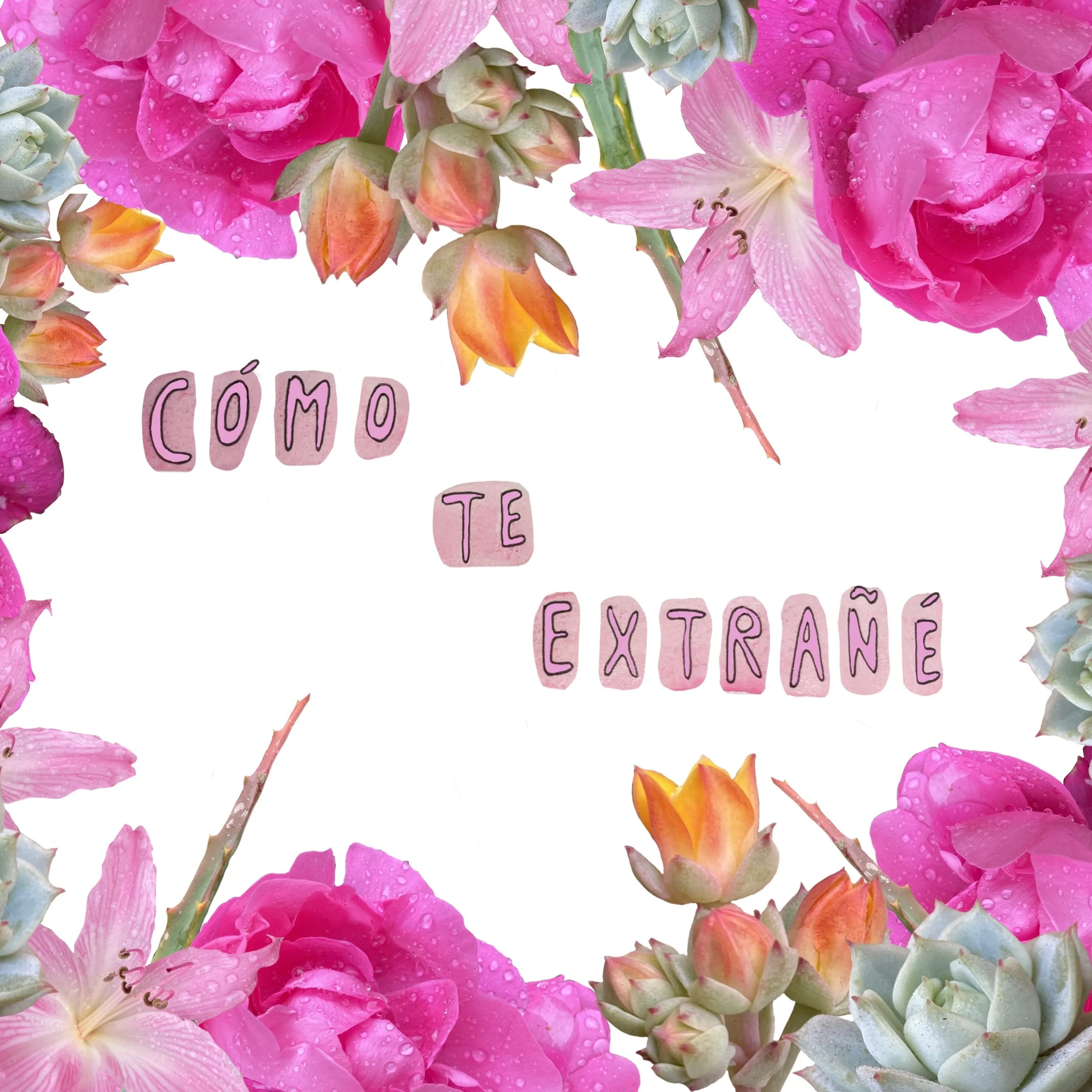 Como te extrañe.JPG