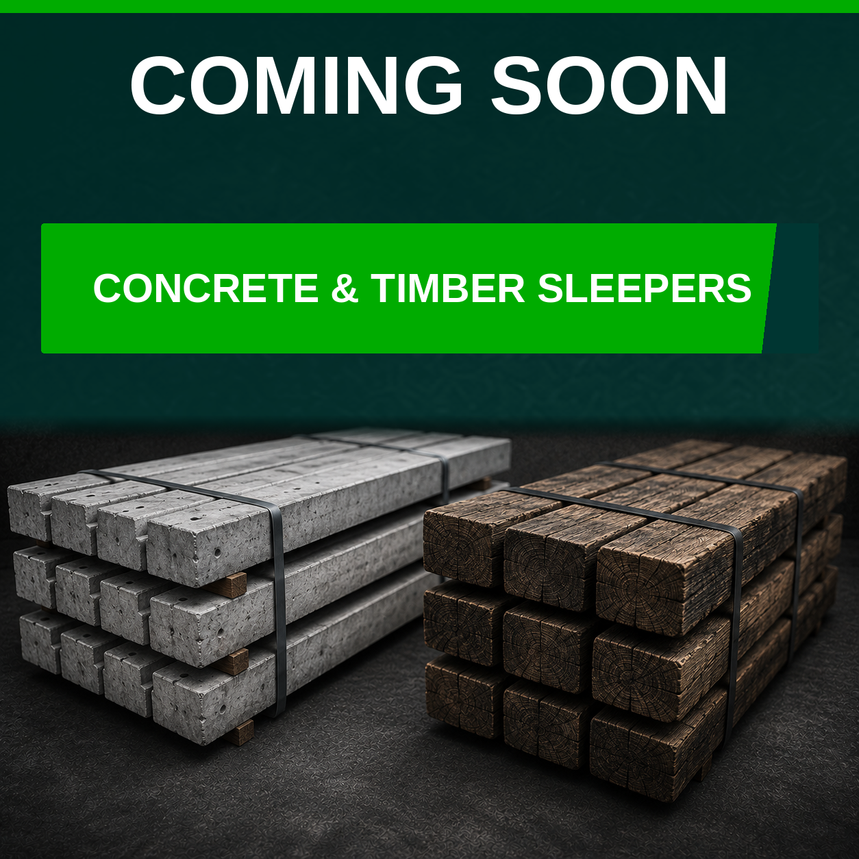 SLEEPERS