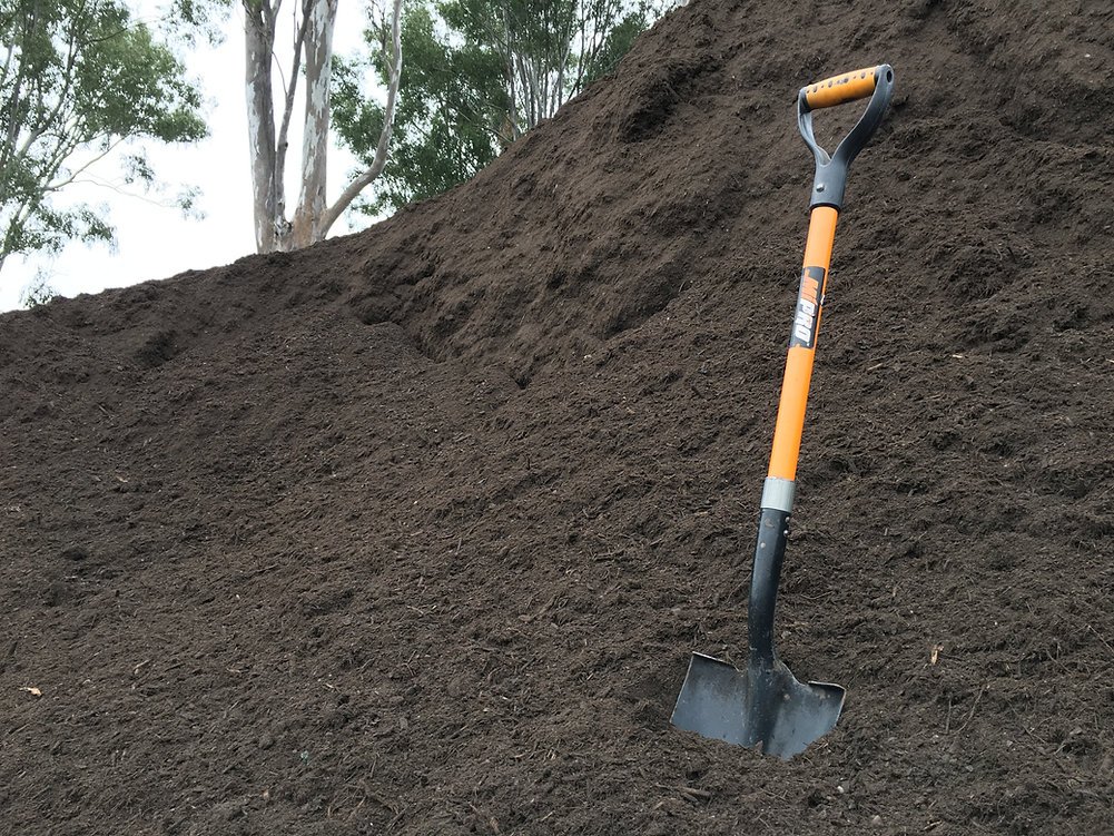 SOILS