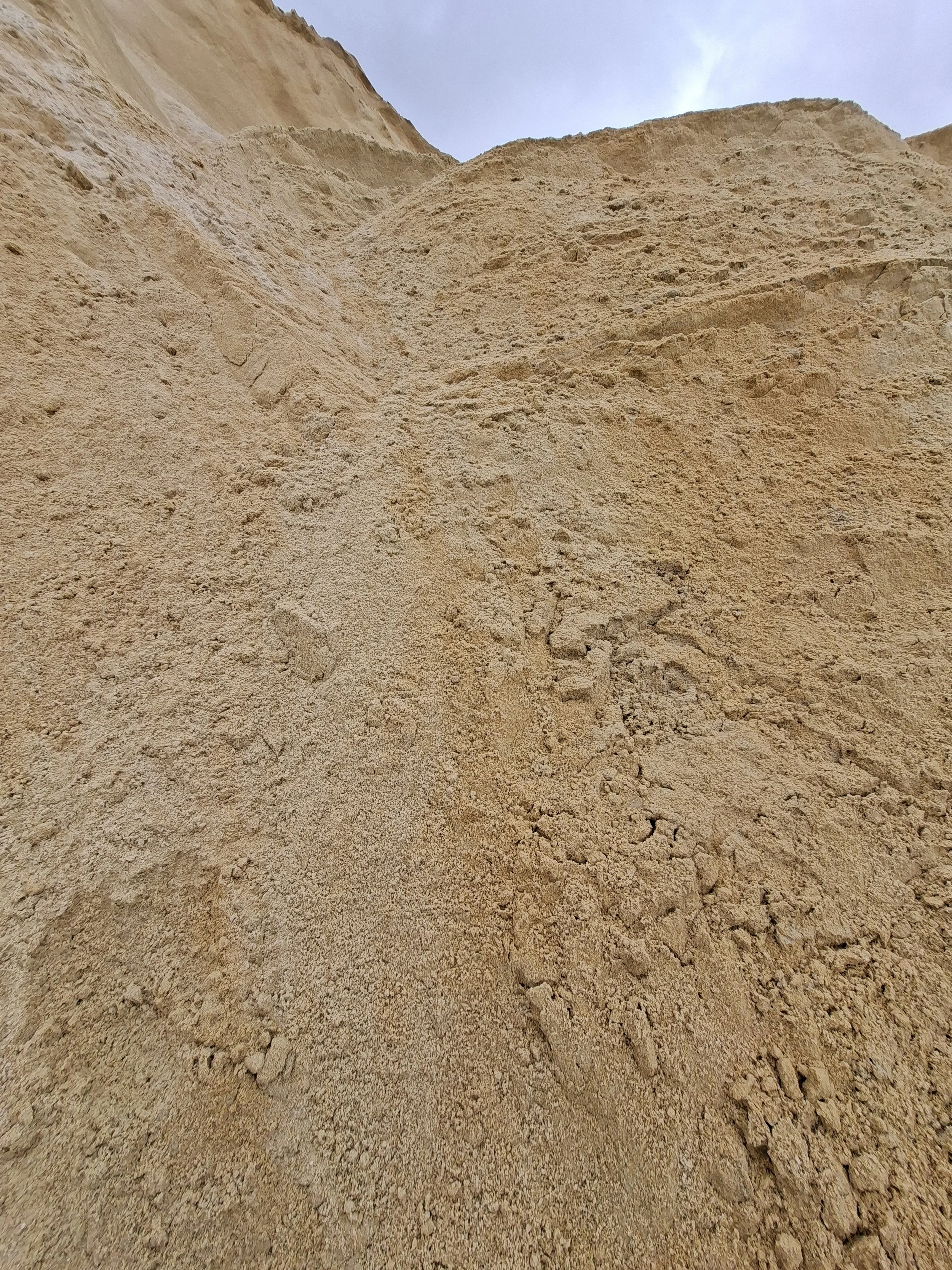 SANDS