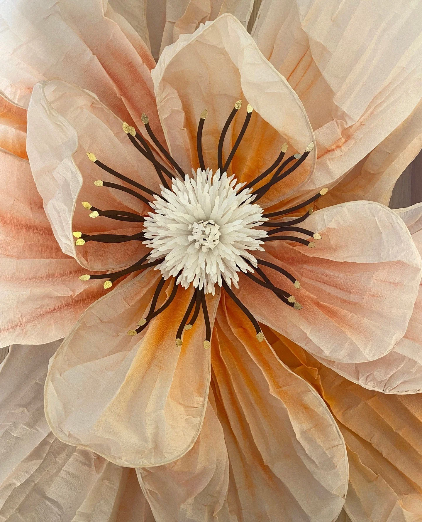 🍂🌺🍂 Giselle Balosso-Bardin pour L'Occitane 🍂🌺🍂
Une fleur géante créée par notre paper artist @giselle_balosso_bardin investit la vitrine de la boutique @loccitane_fr de la rue des Francs-Bourgeois, à Paris.
La di