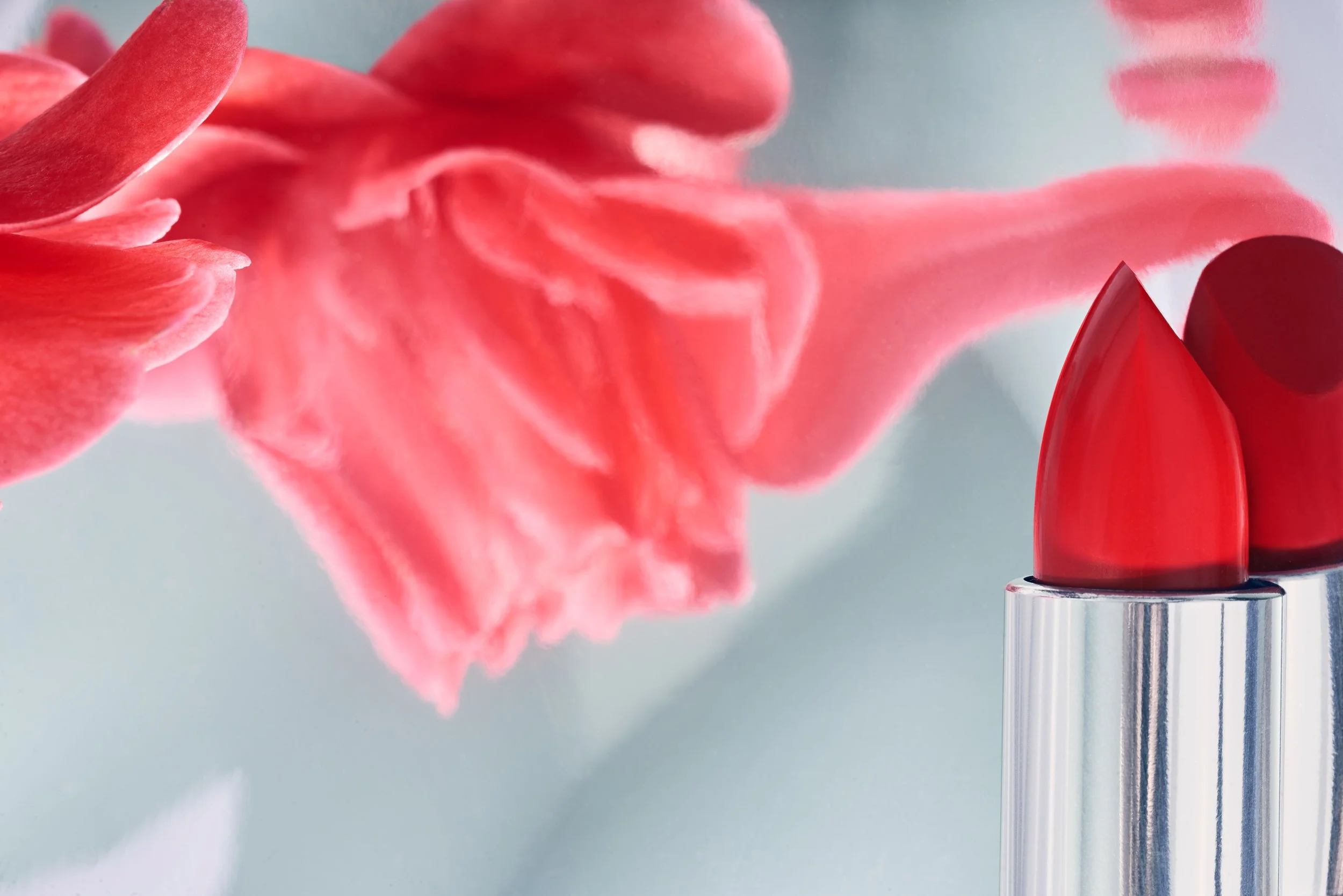   Sophie Delaporte  Eléonore Charrey 