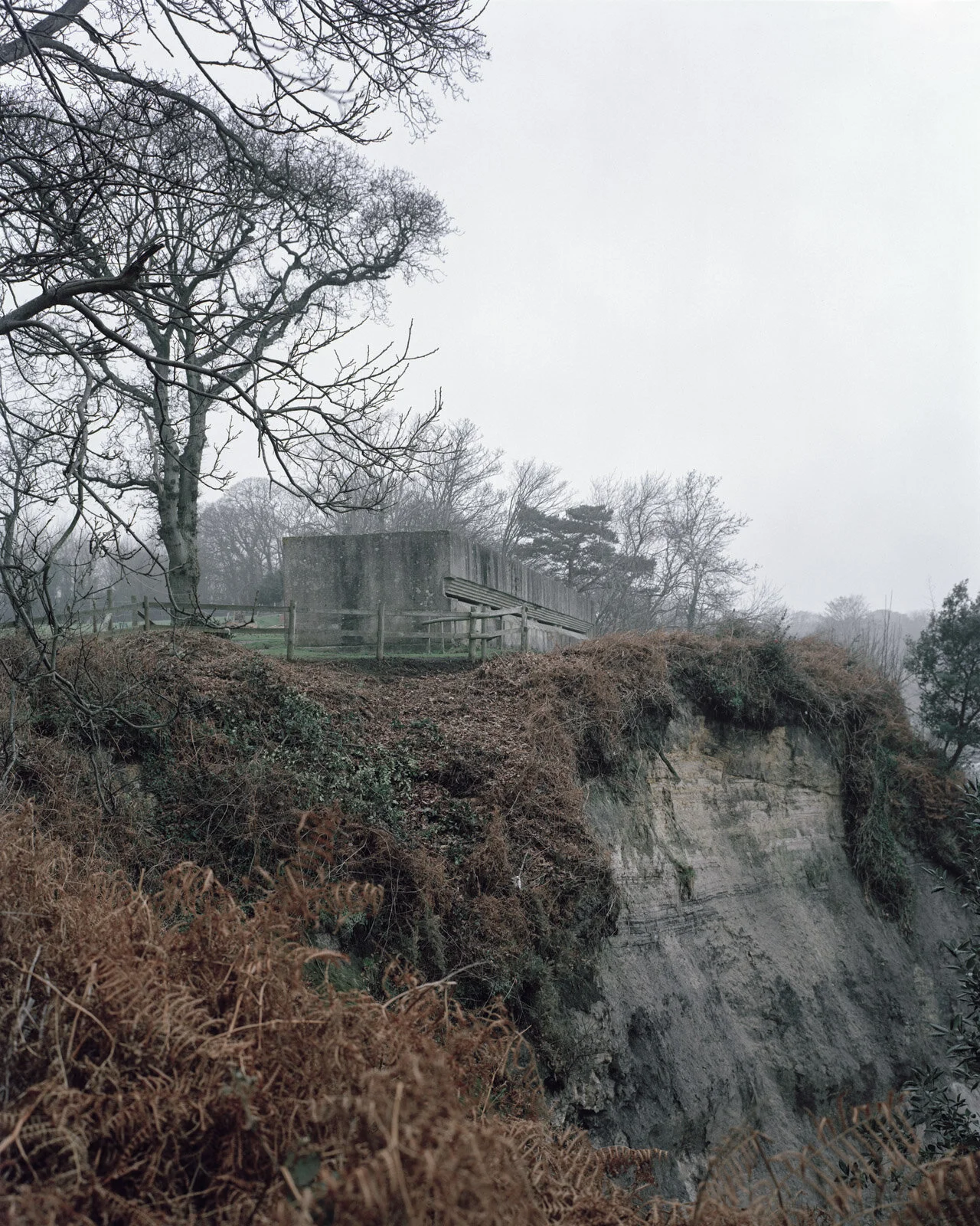 007_Studland Bay IV, Dorset, England. 2011-Edit-Edit.jpg